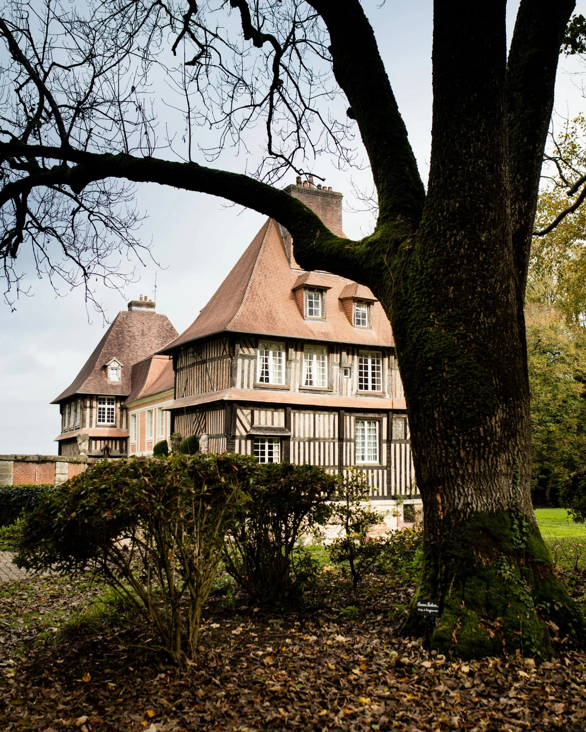 Hôtel SPA Le Lion d'Or | Tourisme