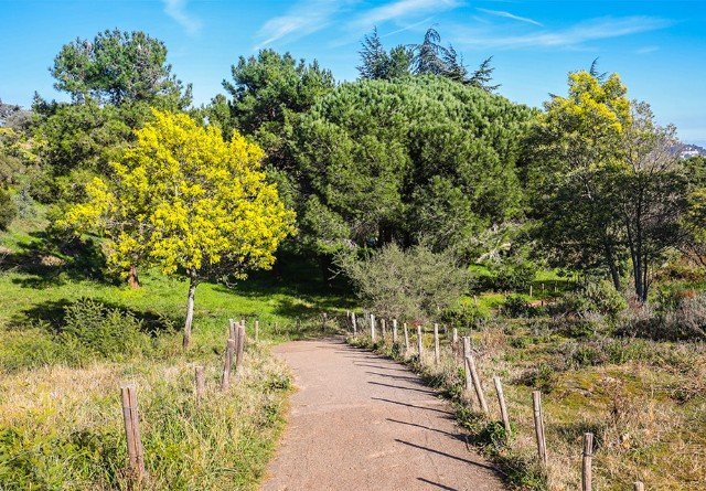 c77b75e9-b5ed-4033-b0e9-eb60d3455951