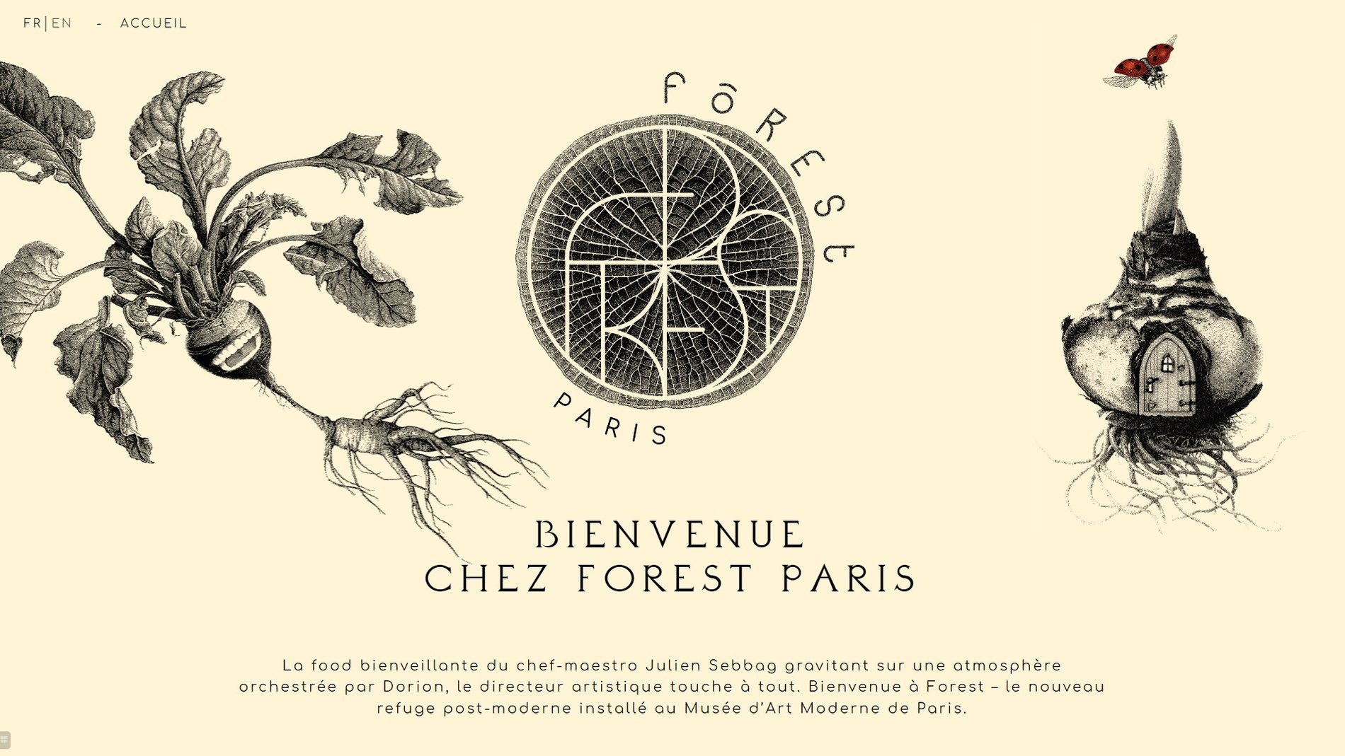 c7a97136-cb44-4ff8-99ce-a17b998f985f