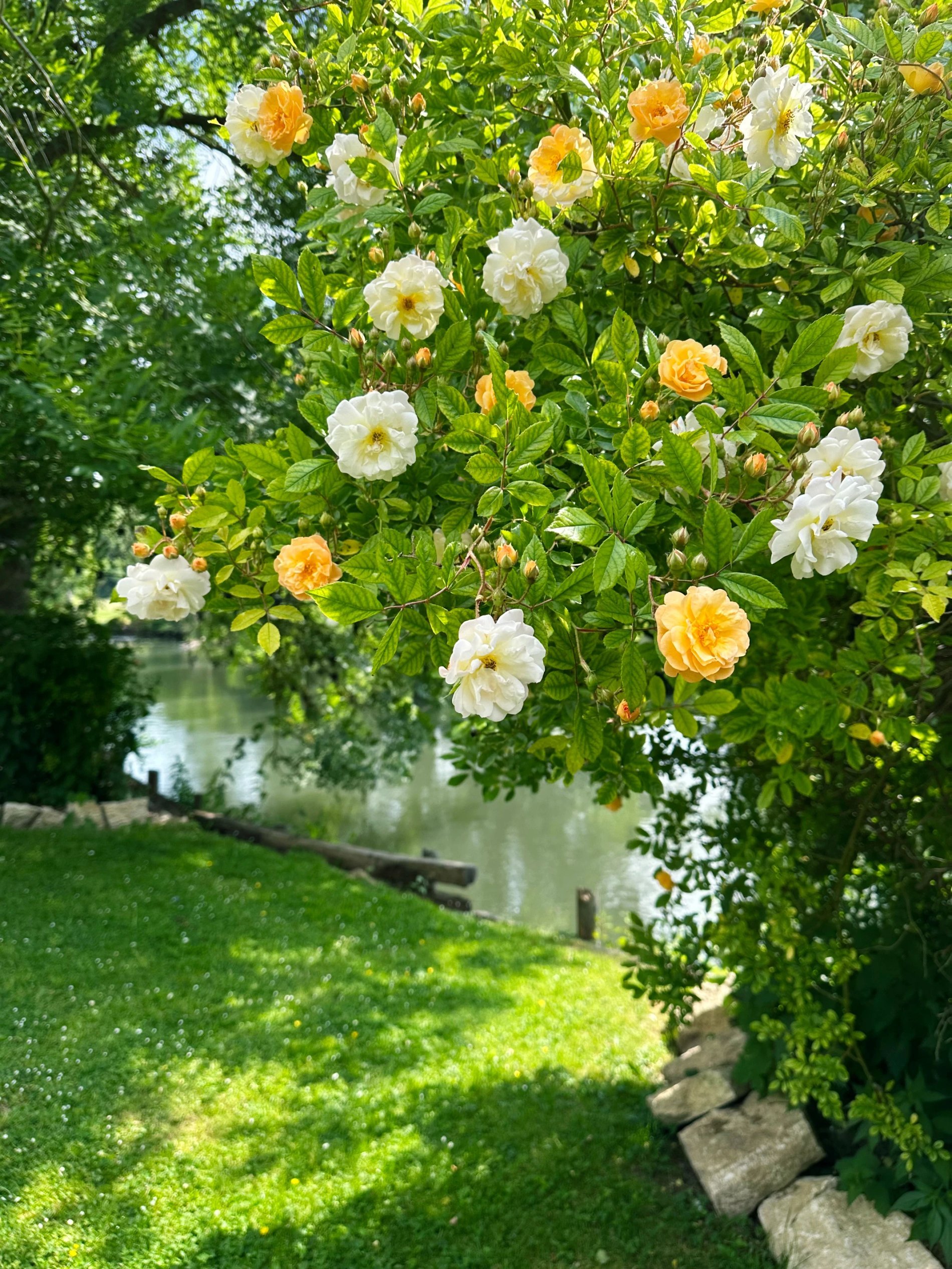 c7c6e642-ead4-4f76-9bd5-67e6ab95e6bf