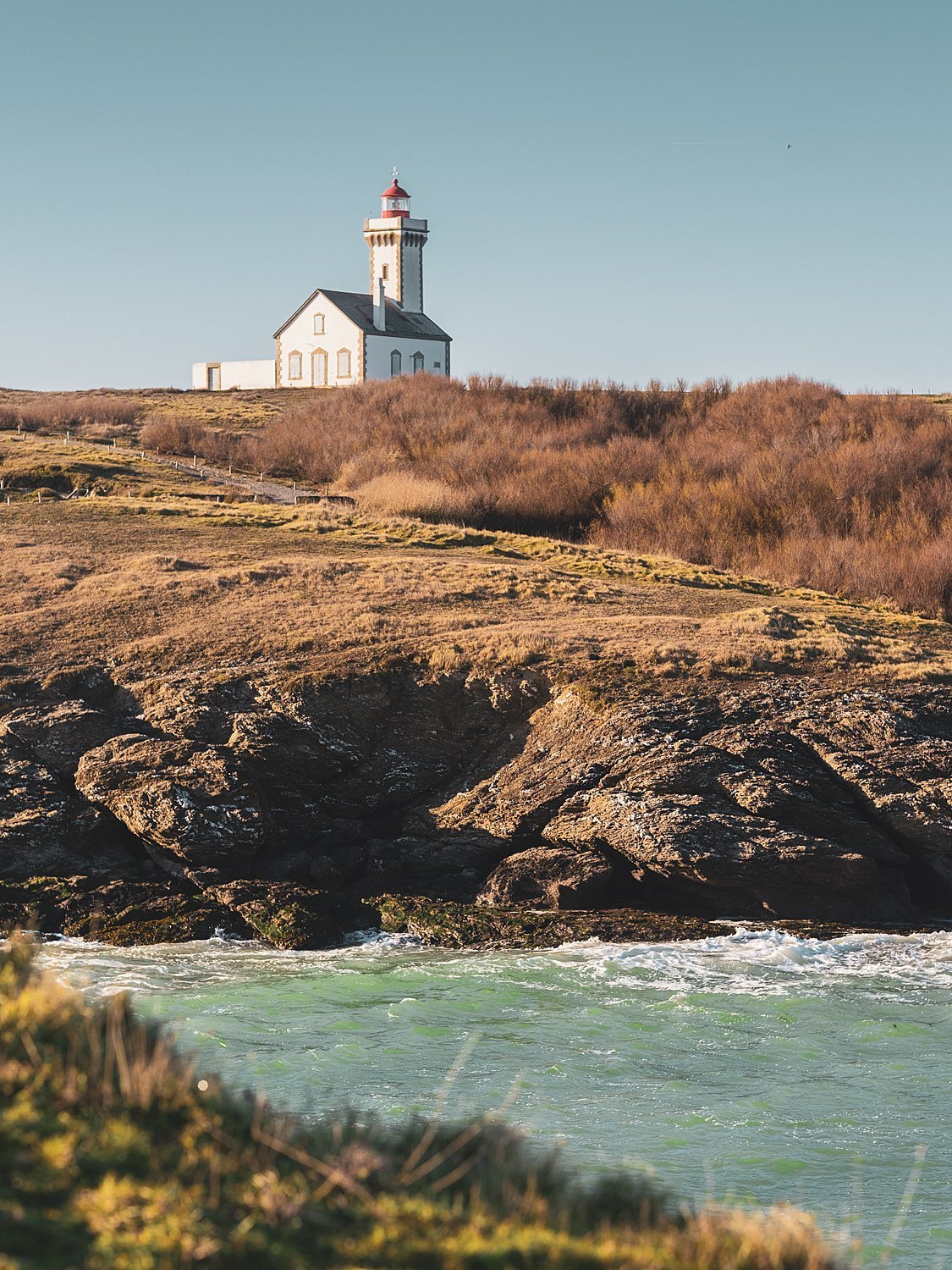 c83f3472-65a8-49d6-a69e-a64510809db3