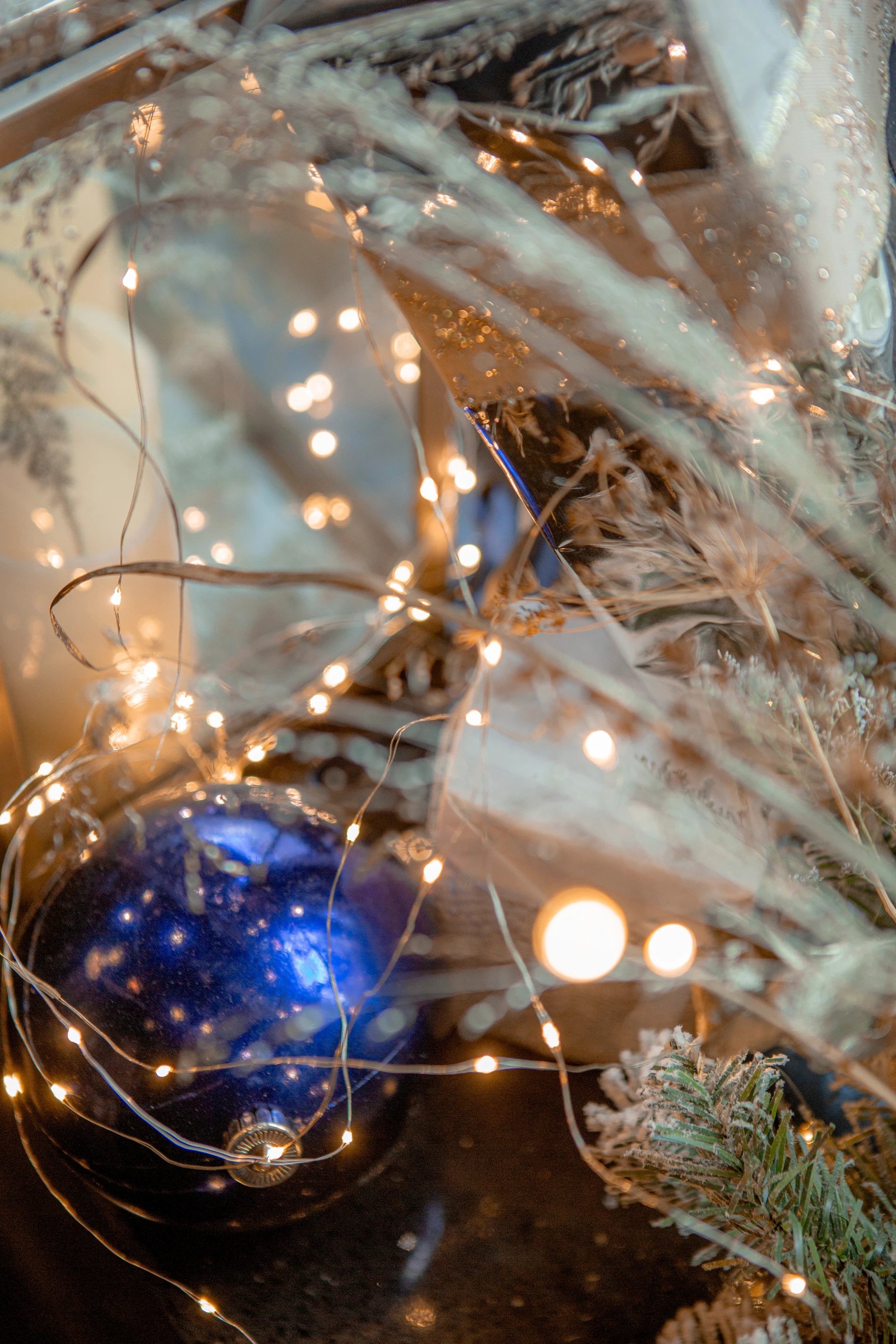 ca3a7d7e-c801-4d2a-9106-61adb21e6c5f