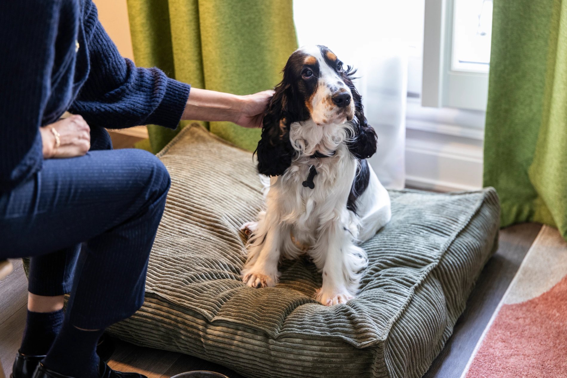 Hotel L'Ormaie Pet-friendly