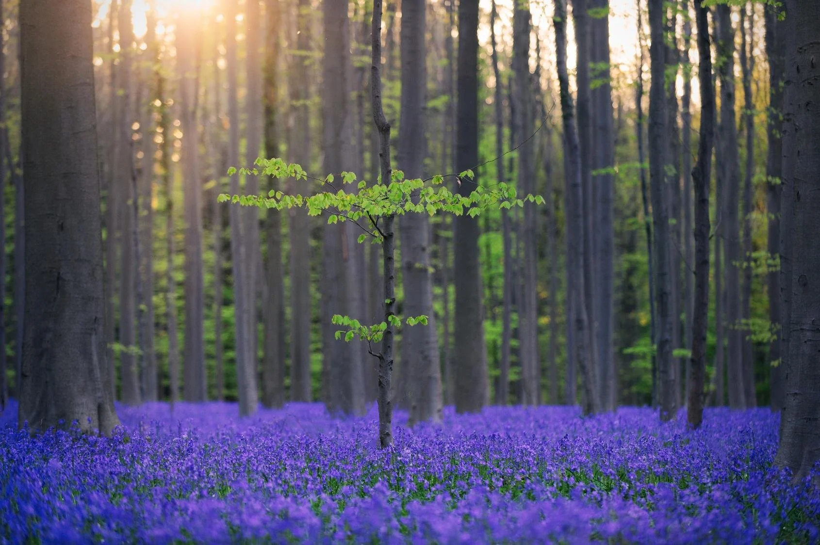 cb8f1fd0-cd4f-4e09-b87e-673db1e56195