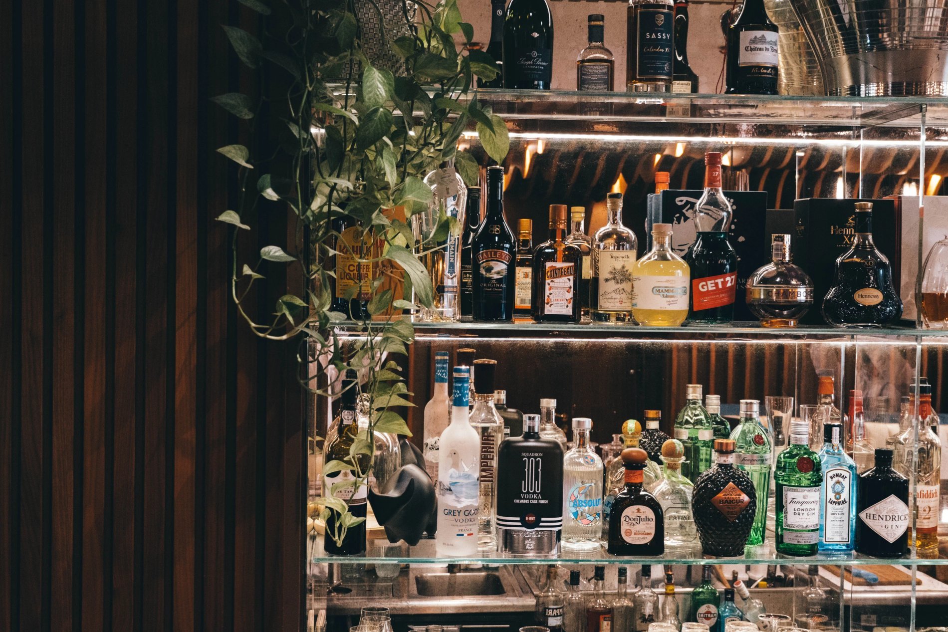 ccfa83b8-83b8-4dab-a840-31b638c22f10