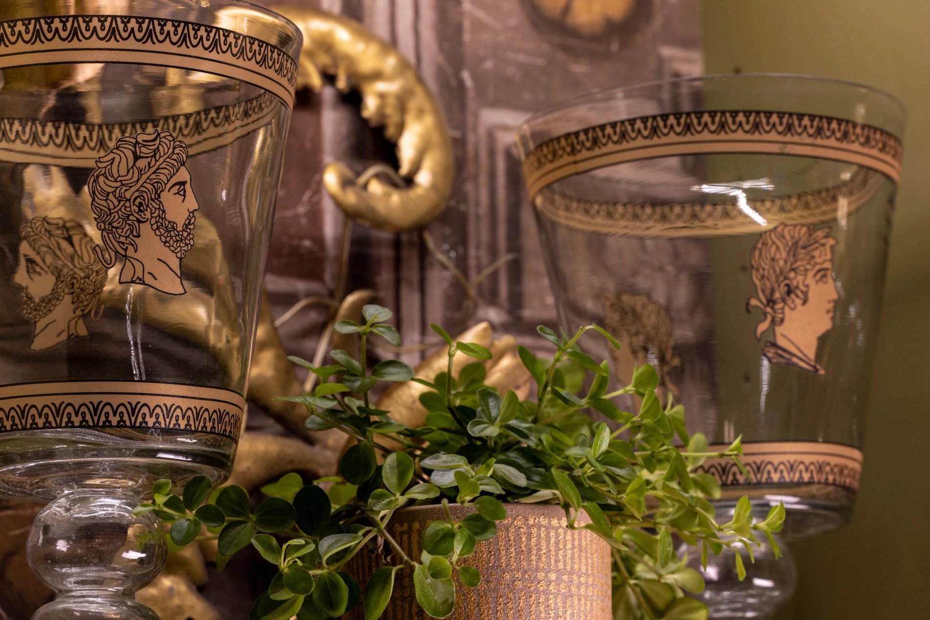 Maison Cardinal Furstemberg Airbnb Rent Appartment