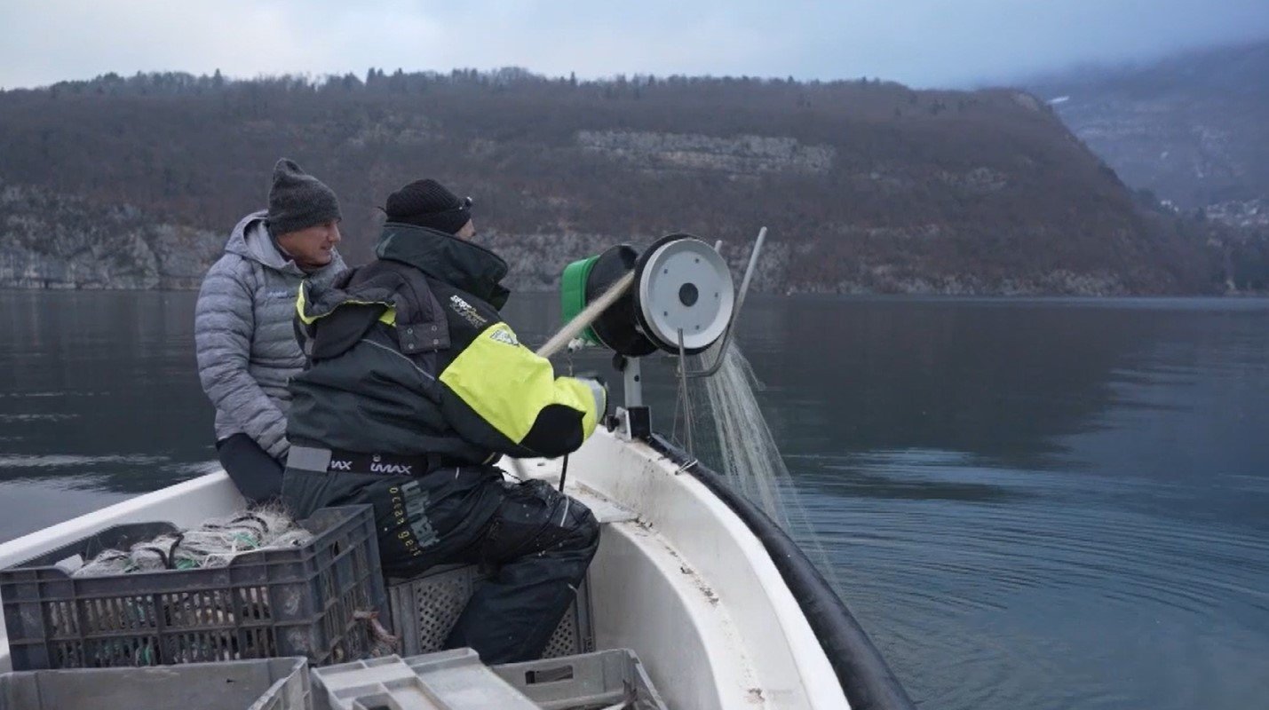 d081344a-9563-45e9-8a06-b53f8cdca9c1