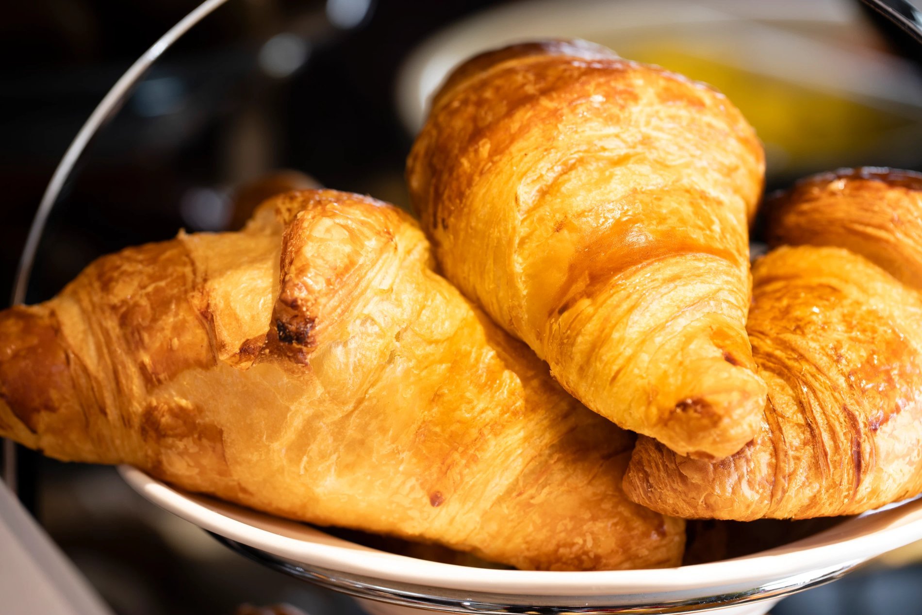 d1b89153-a41f-4aa1-9c8d-2942cf9daeda