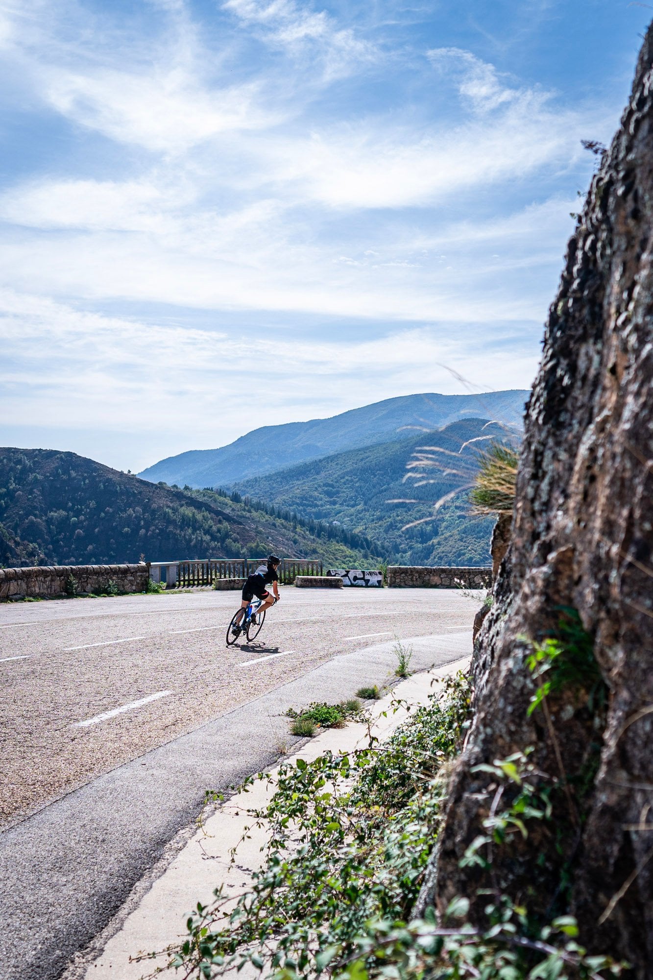 d1eeb83d-0719-4735-a2cf-3f9ede1cd227