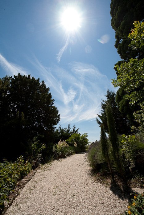 d2d9f135-278a-4140-bbae-9431eb3a908d