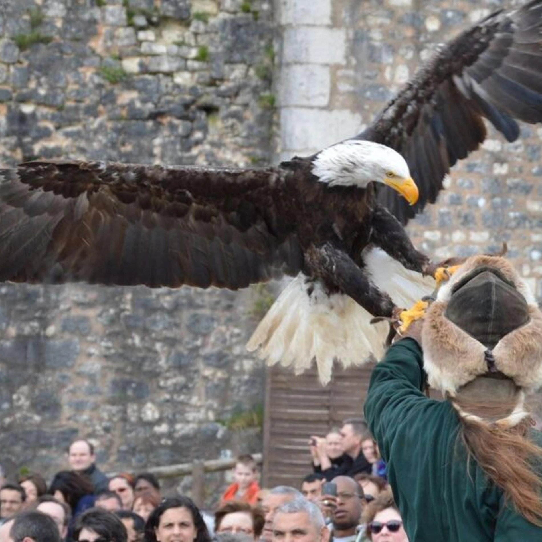 d3a4373a-4ee9-4a2e-957c-f4ef1d97e0f7