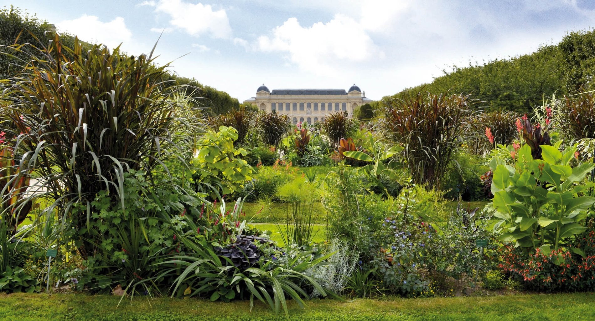 d415b29c-02bc-4219-b750-c7e5fcc17ca9