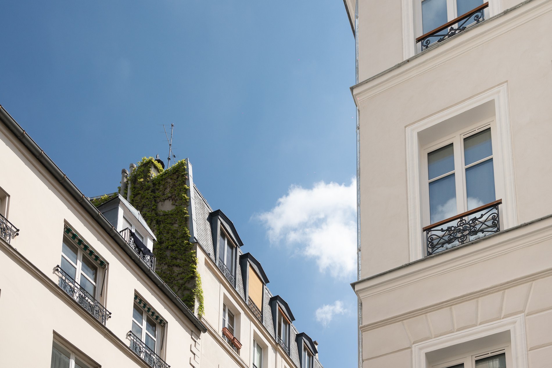 galerie photo - hôtel paris 4eme - hôtel saint louis en l'isle