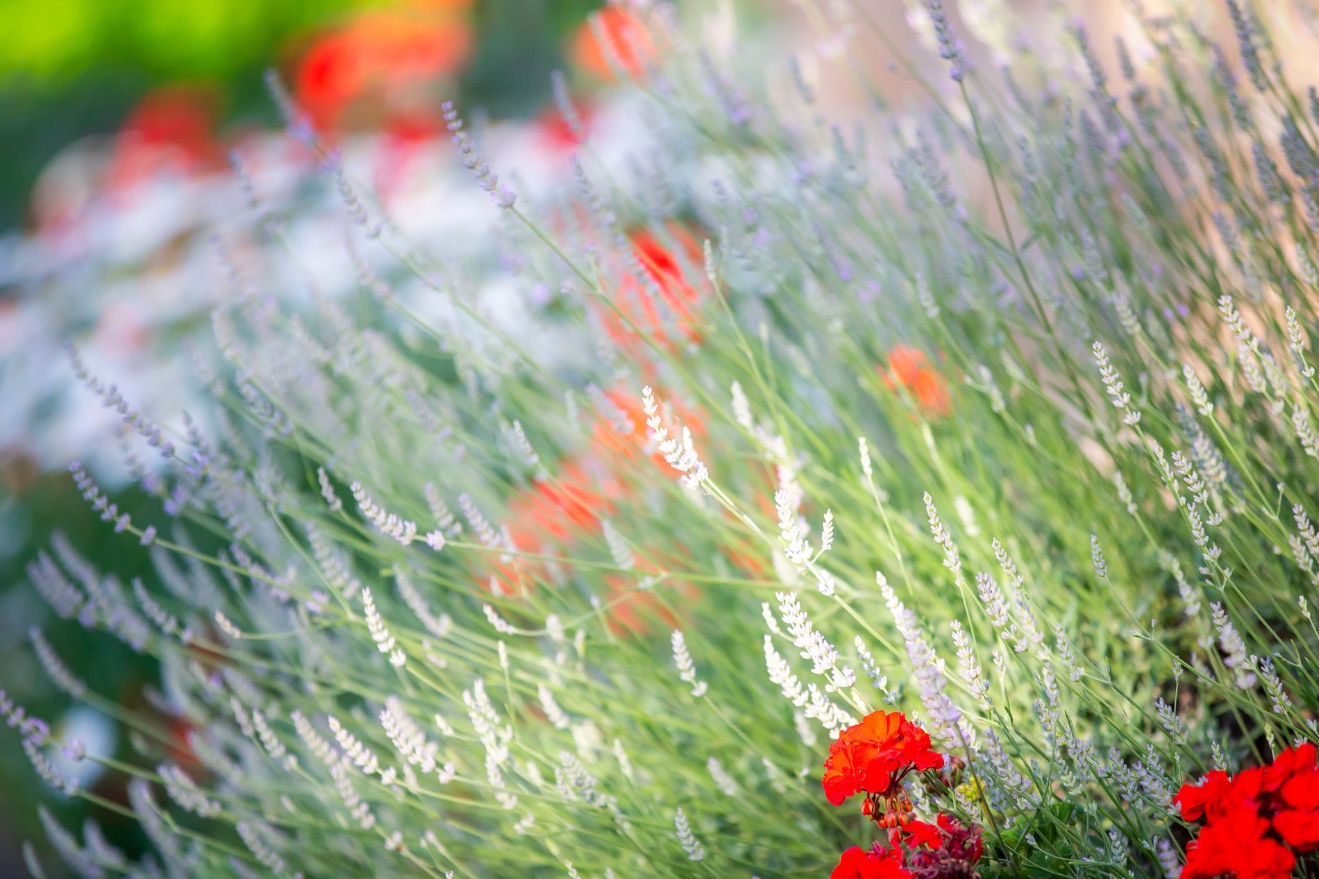 La Ramade | Weekend hiking at Mont Saint-Michel