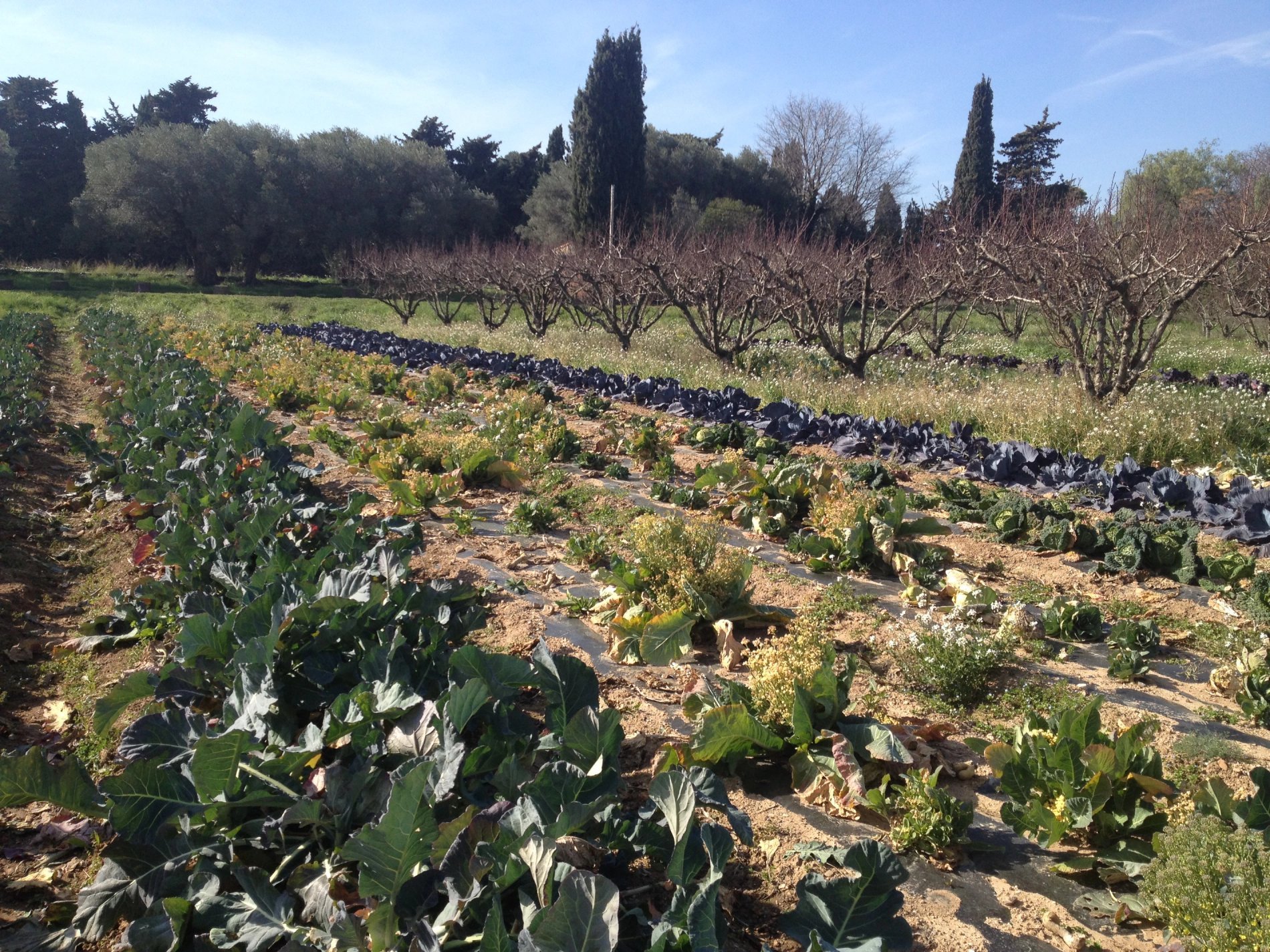 d550ad8e-ca2d-40e3-bf39-a0f9c525dfc8