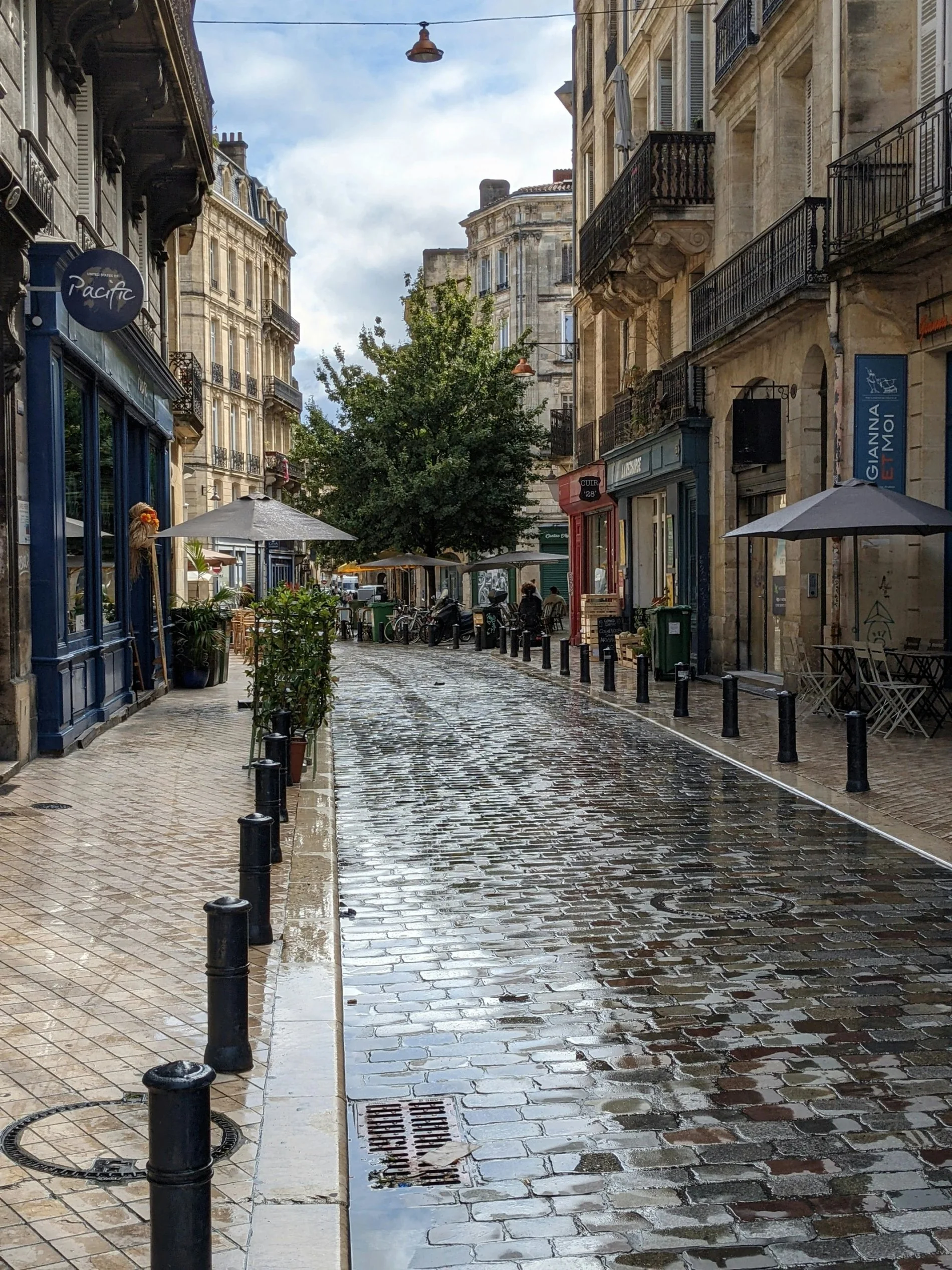 d599402e-b1e3-41d4-9a67-18f606194bd4