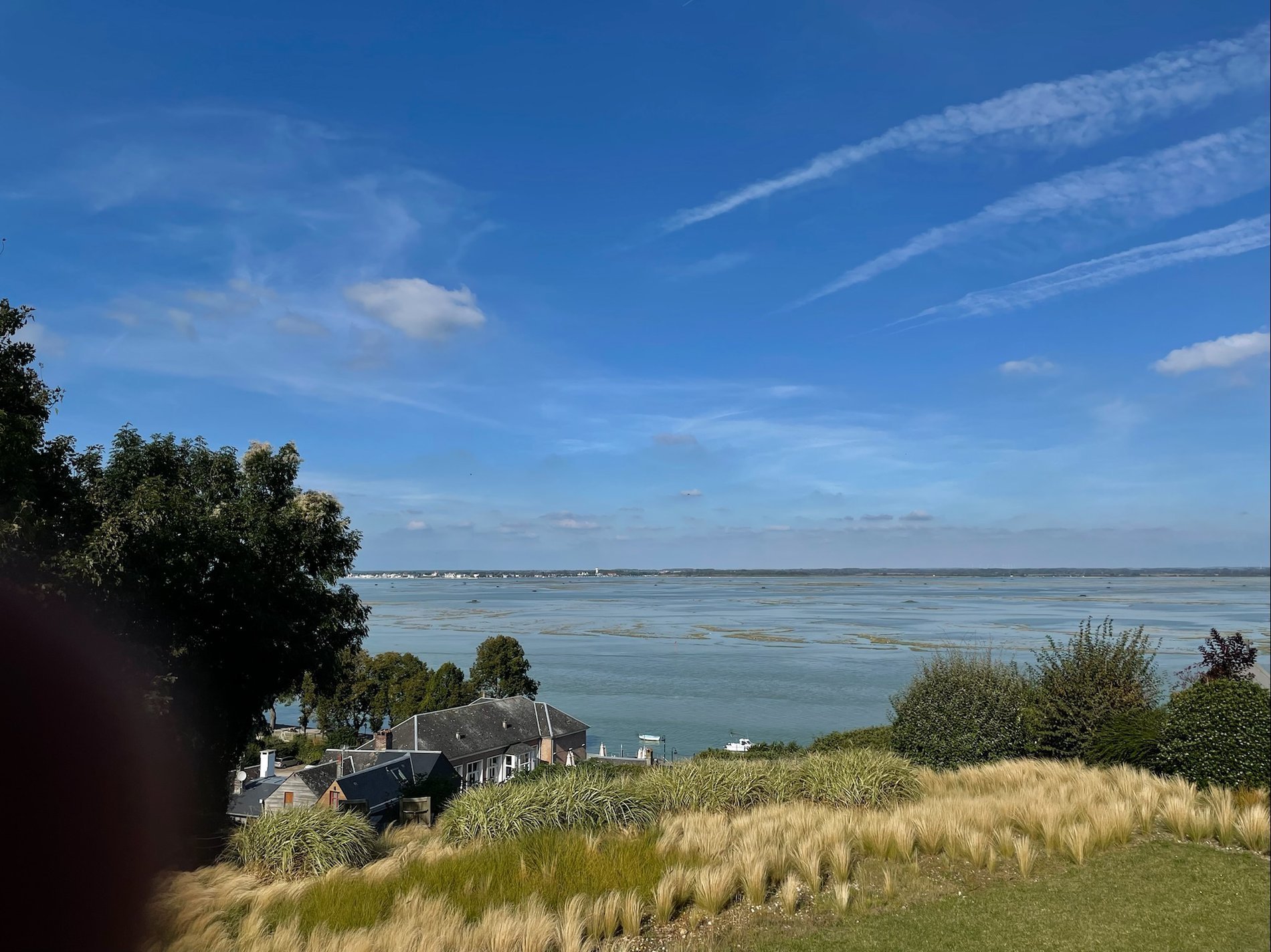 d5a141c7-2925-4035-9bbd-a9e2a7b3b64e