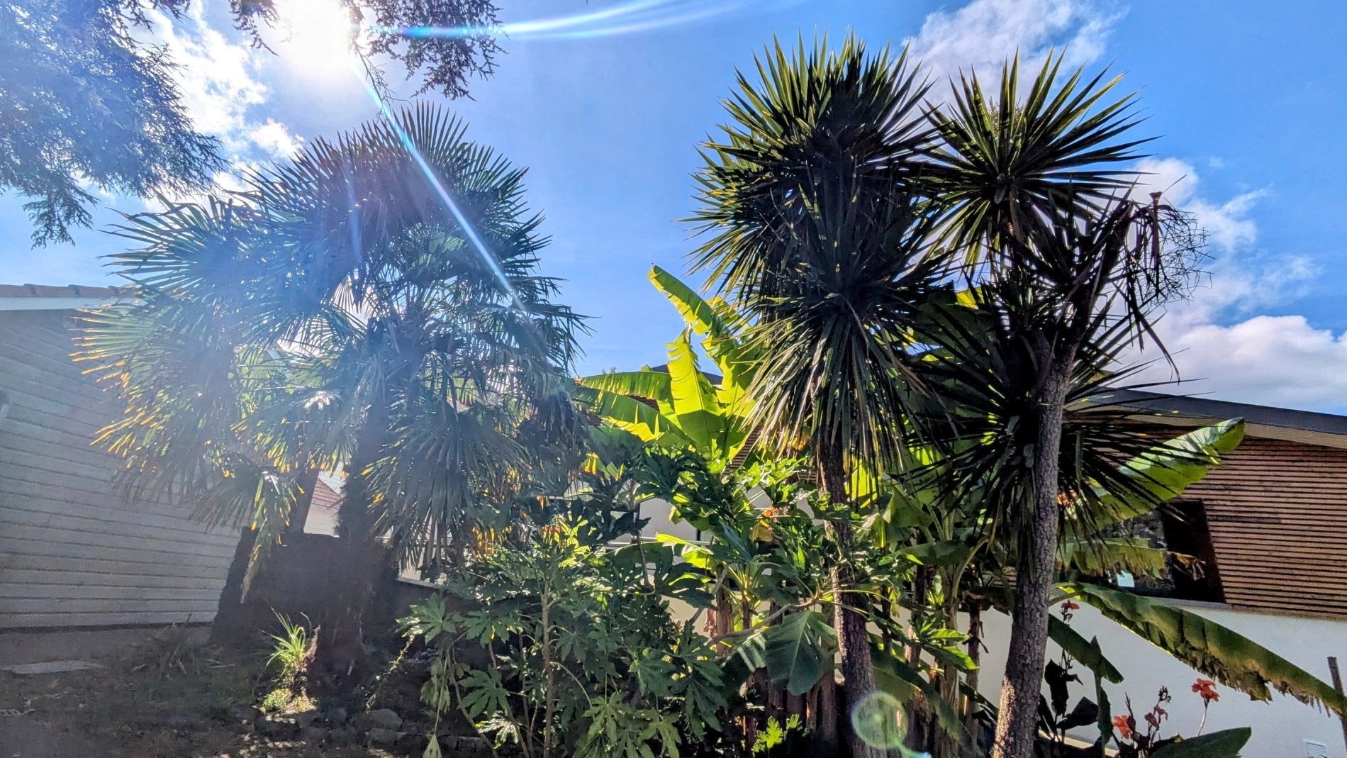 d5cfc3d8-d444-4b93-b96d-d105781b9ec1