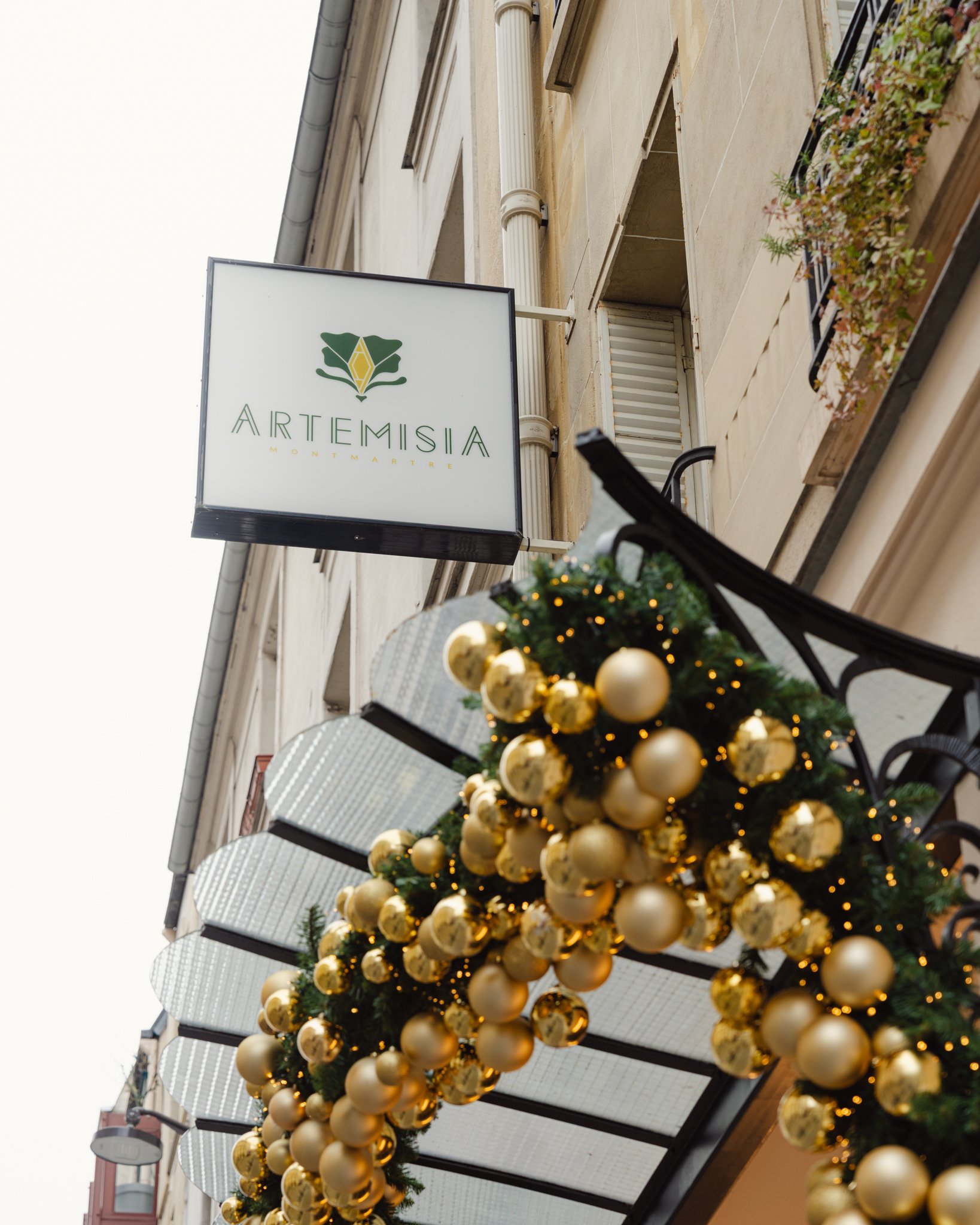 d669ea1c-a25a-4160-9e27-02ee7ea49236