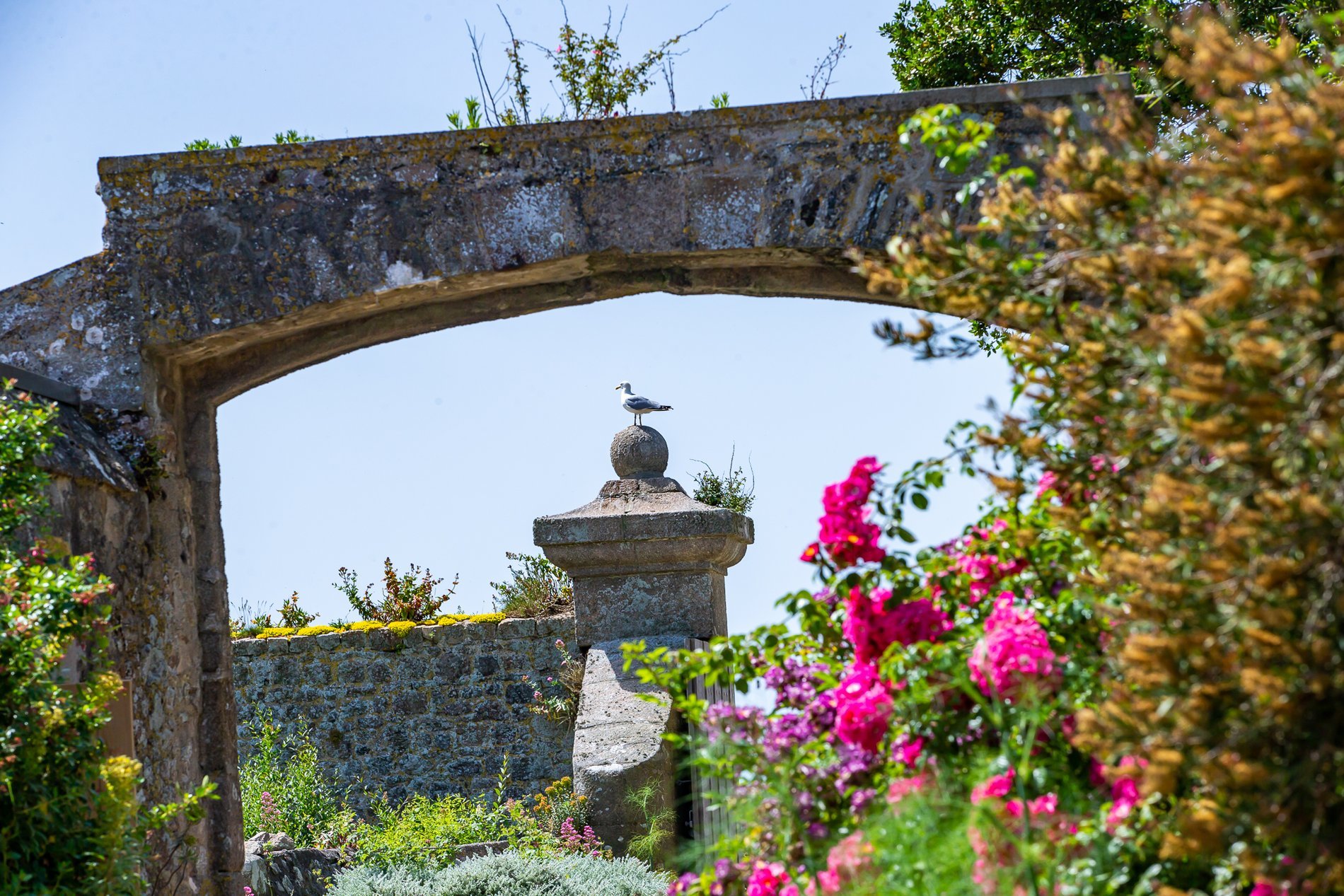 d6ff46f8-56b6-4488-9a83-2e10f0546283