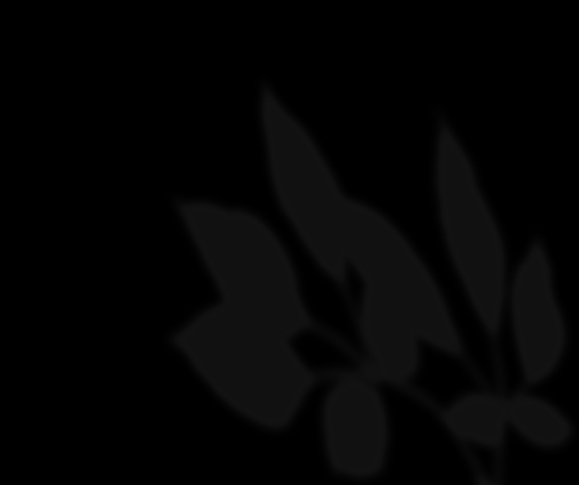 Bar Taulissa: Shadow elements