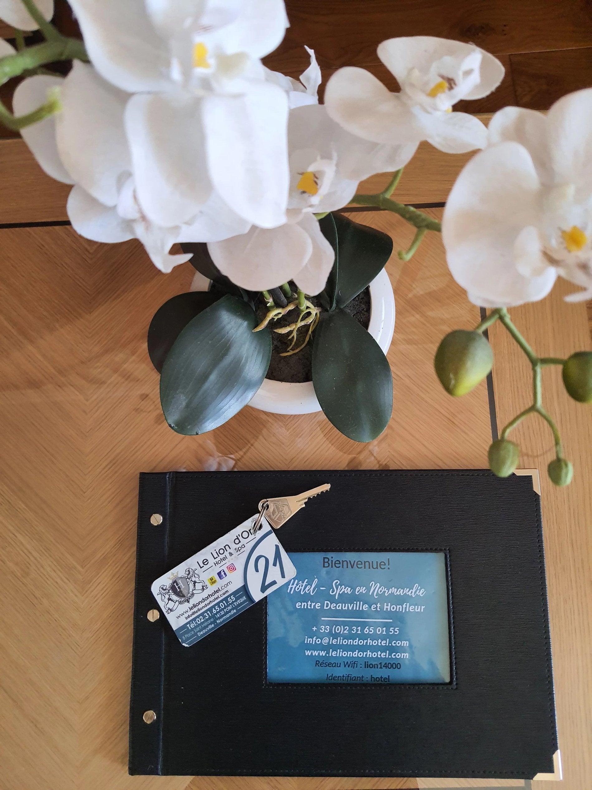 Hôtel SPA Le Lion d'Or | Chambre duplex