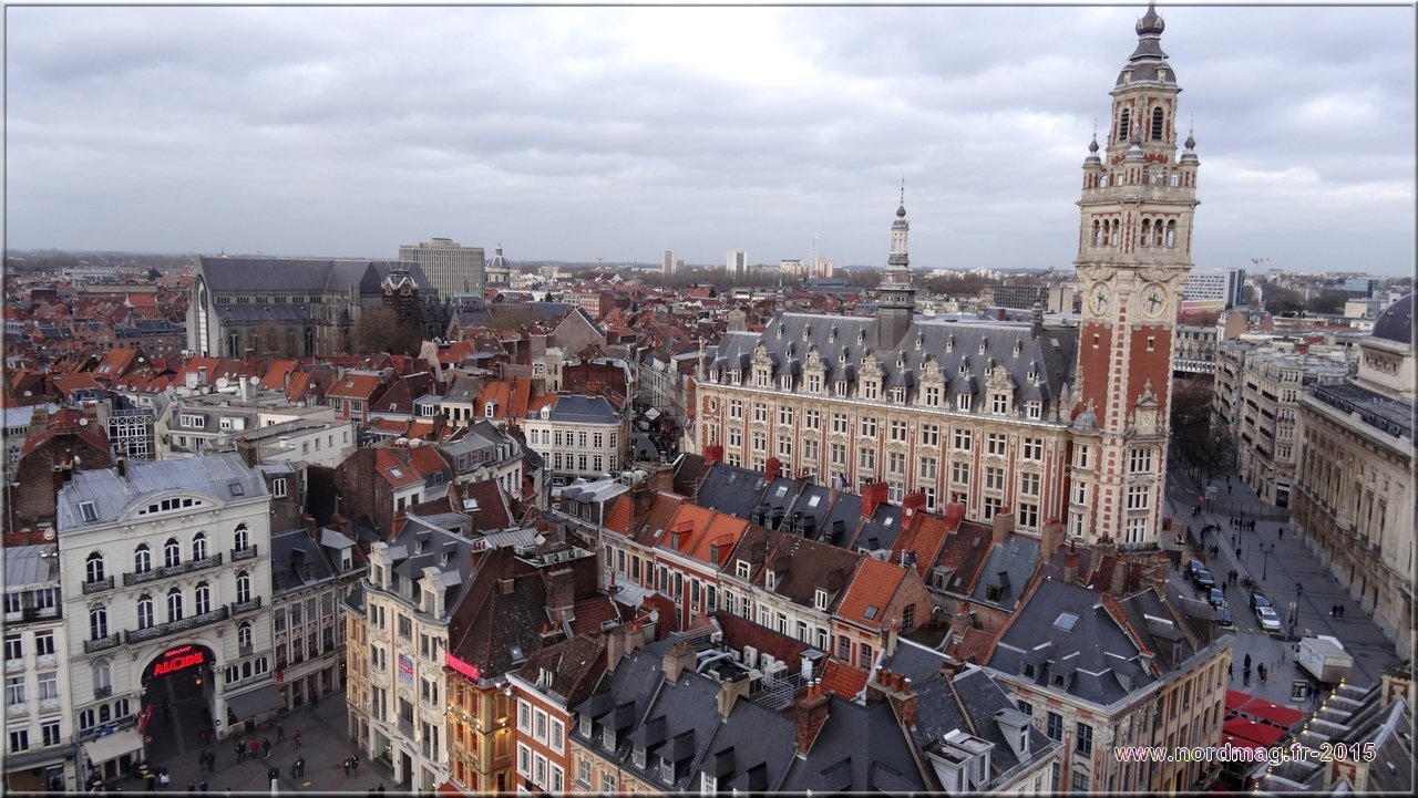 d80e772e-c730-4317-b010-395c694fb821