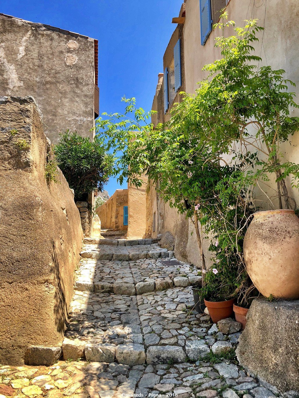 d88655c8-1e9f-46b0-ad76-8e6ec2073576