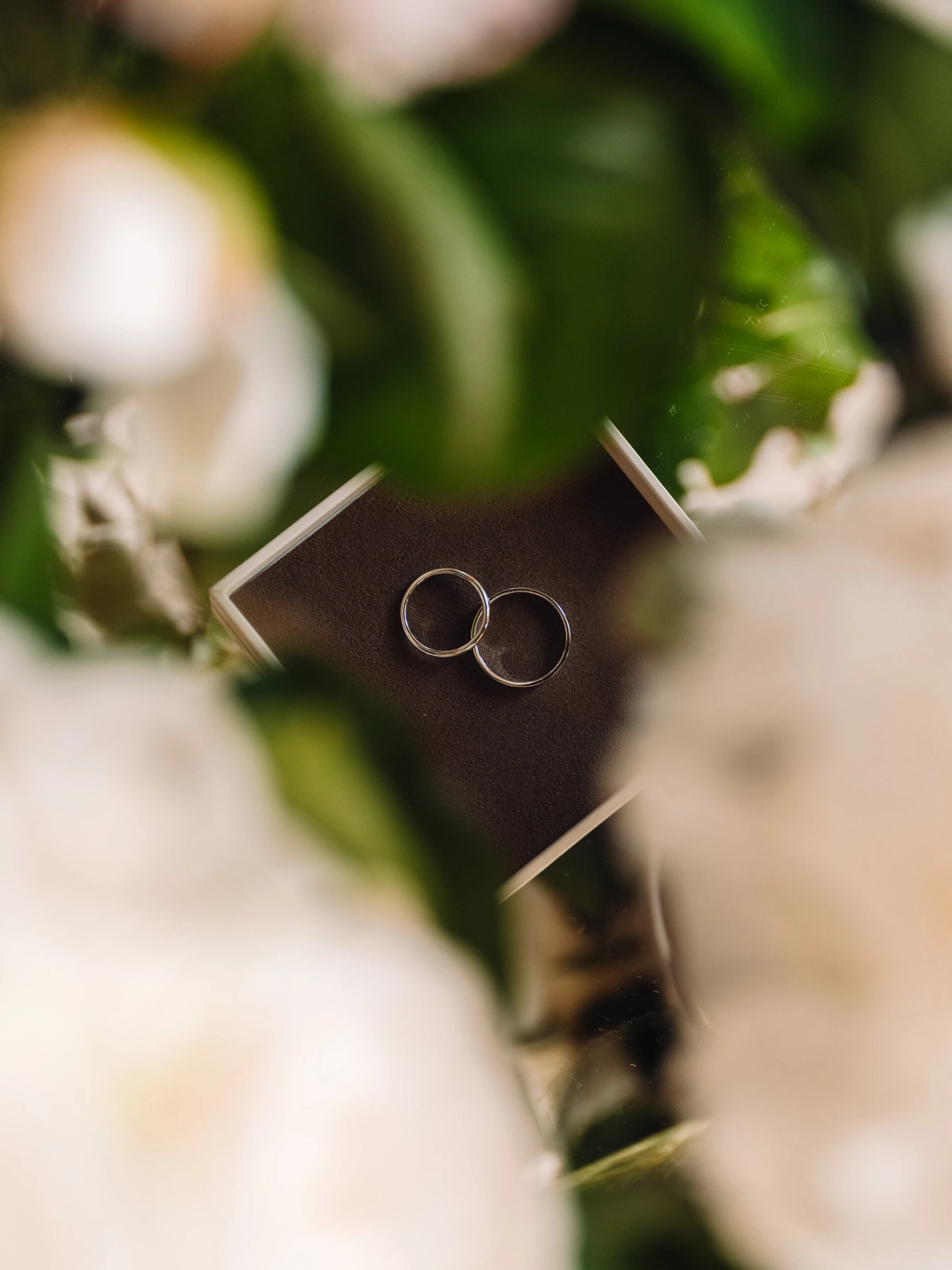 d8a7a393-624c-44d9-a606-b51218123a0f