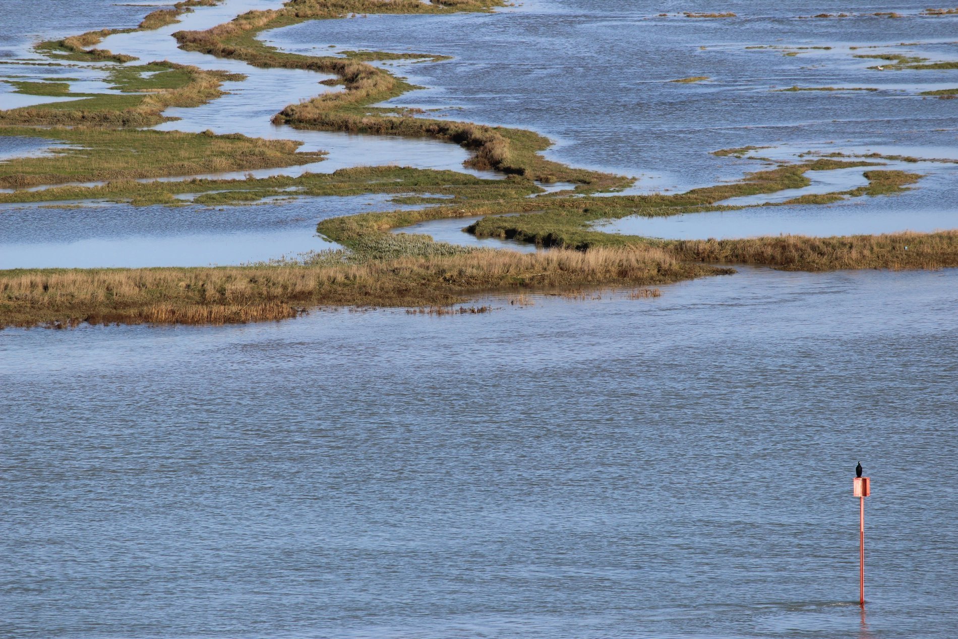 d8b75532-2008-4ed4-8d07-bdb589c37d86