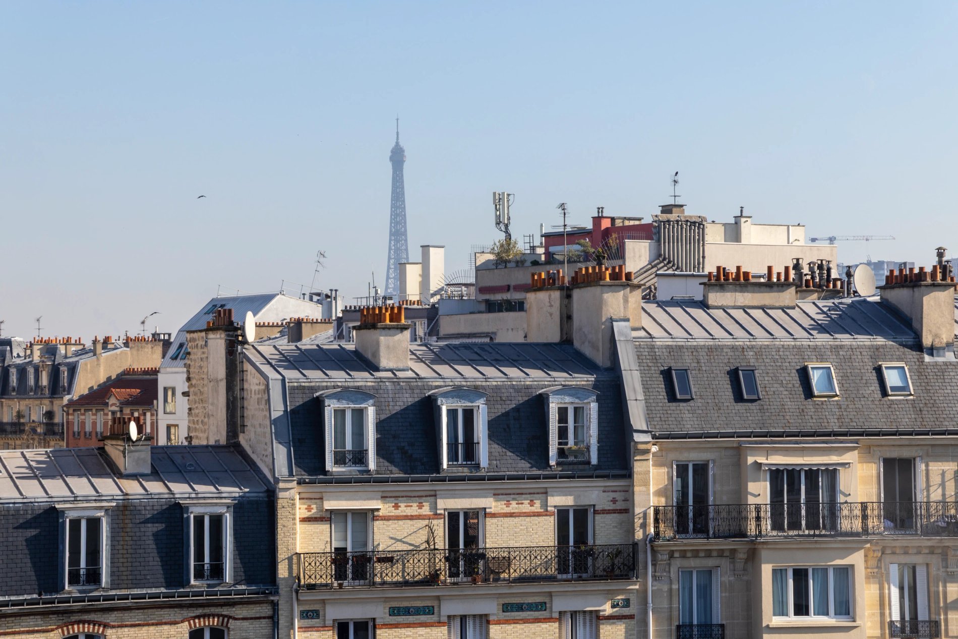 d93eeb91-d1f2-4790-90bd-a81a5242779d