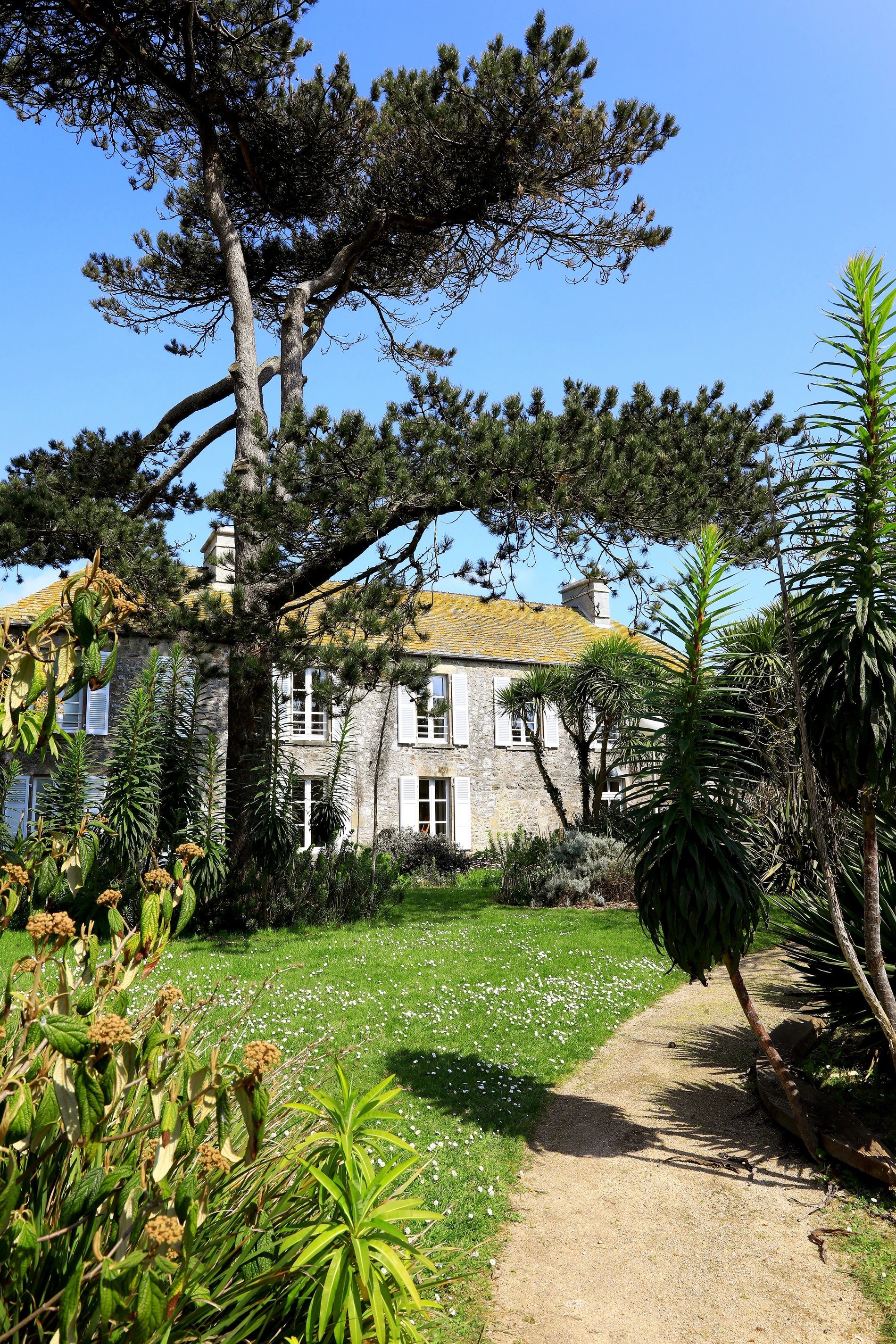 d99435d8-2e8c-4622-86dc-e25c8a520444