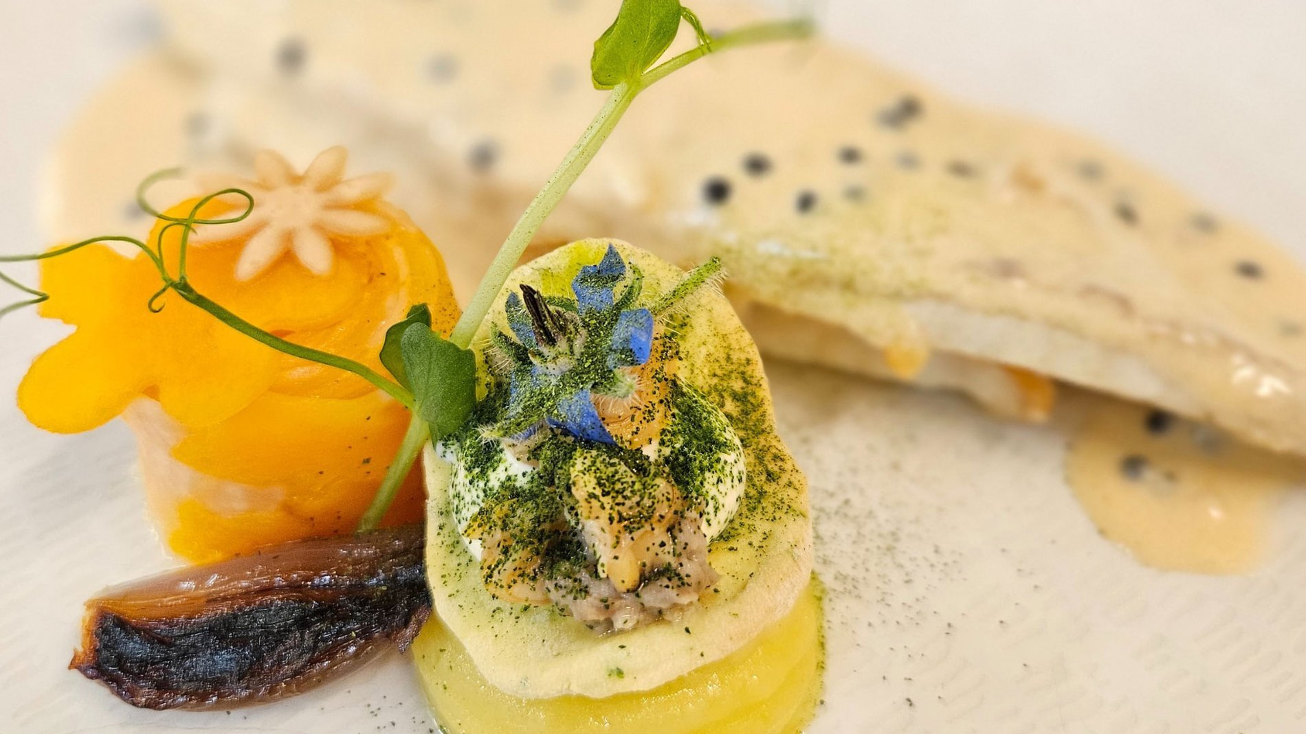 d9ed97cd-67f5-4714-ba8c-d312453f9646