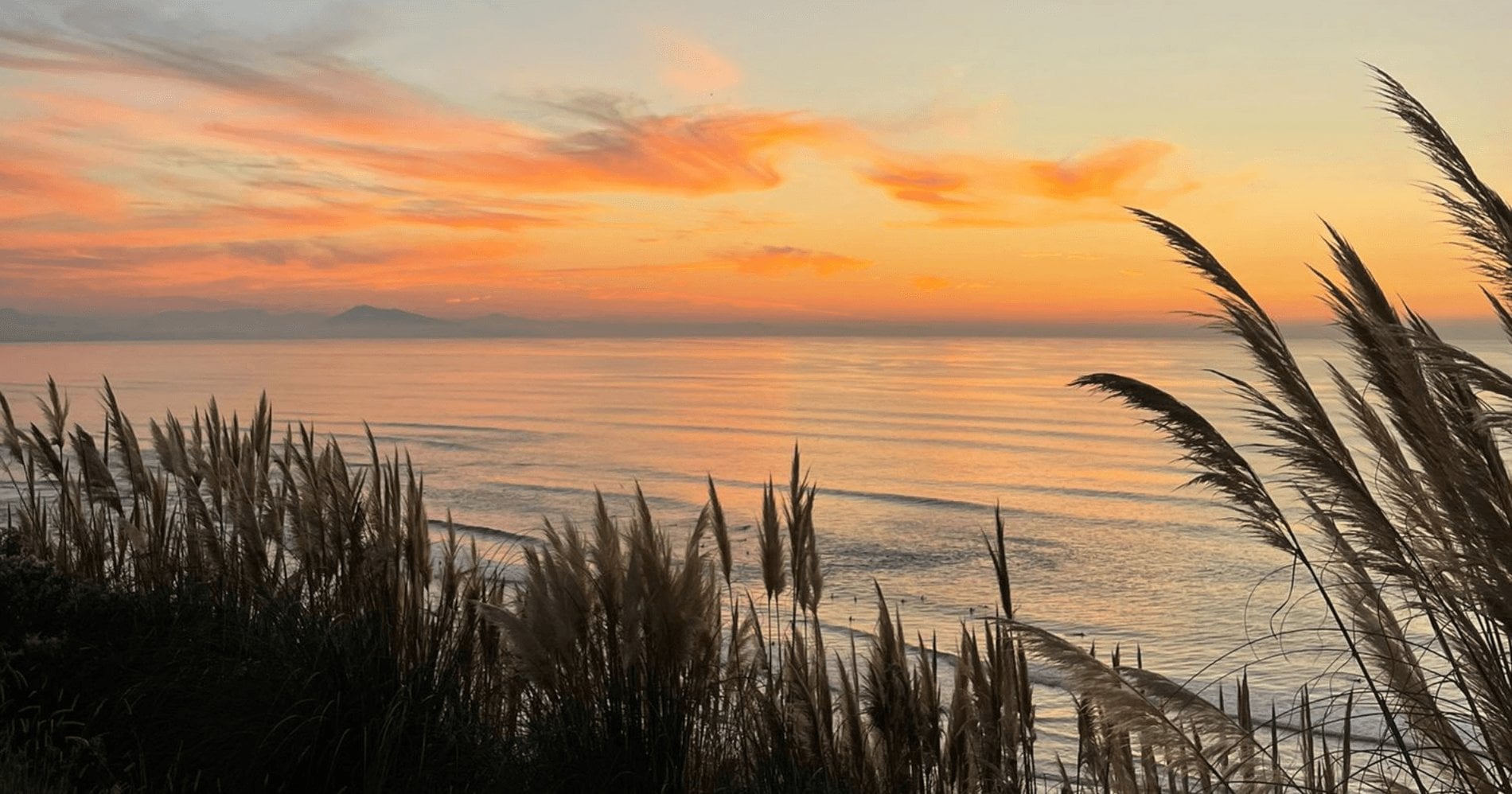 da28f30e-4f14-4dfe-98a4-9d3826b18ec6