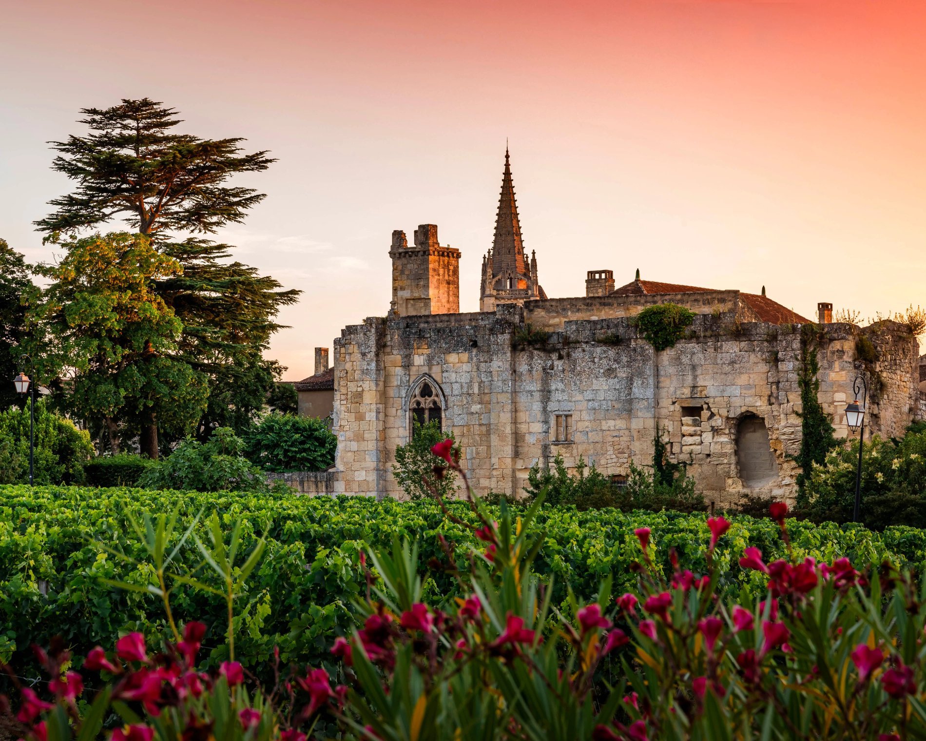 Vue sur les jardins et le clocher de Saint-Émilion au coucher du soleil