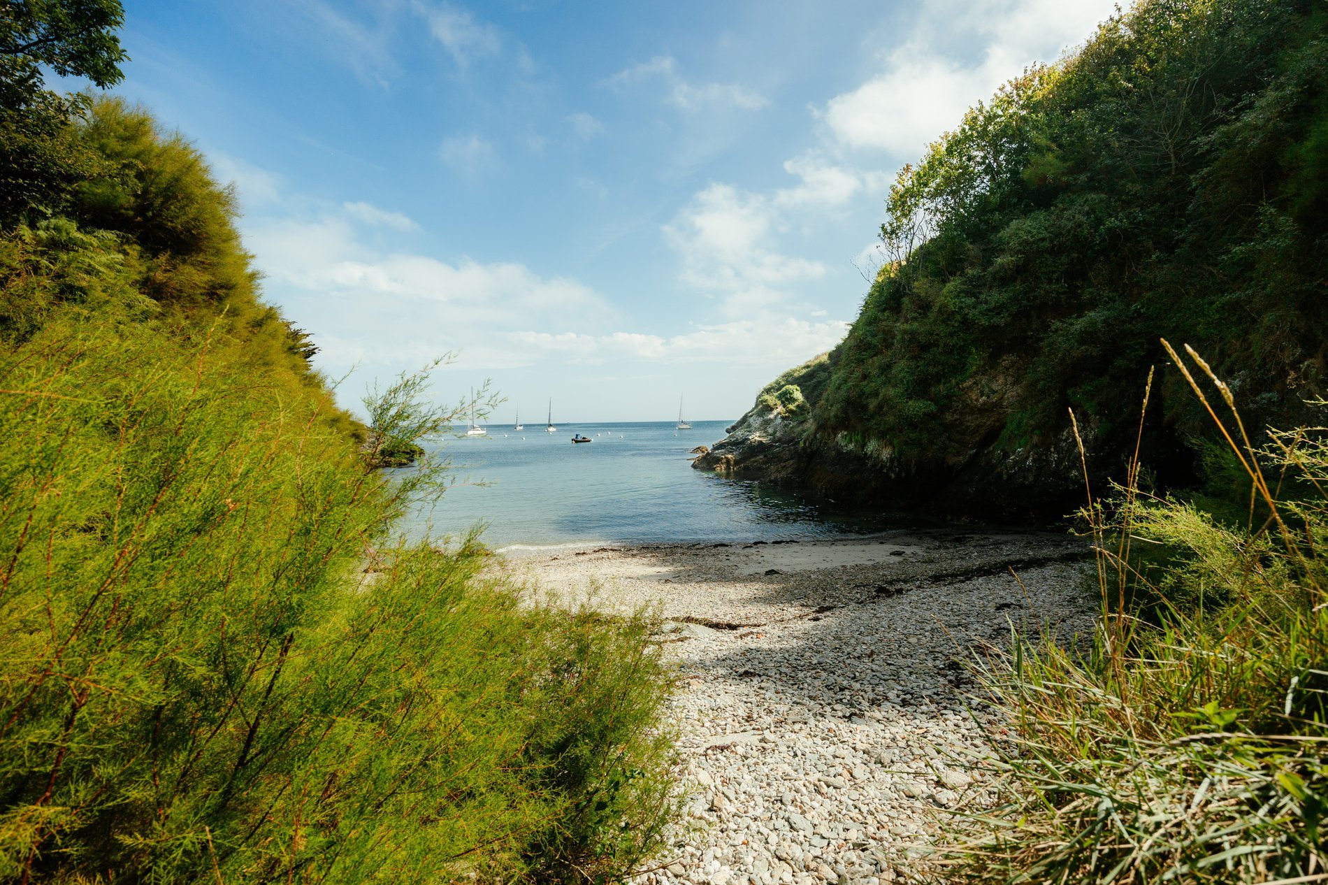 db20b9d0-7130-4174-82cc-72ba8f489960