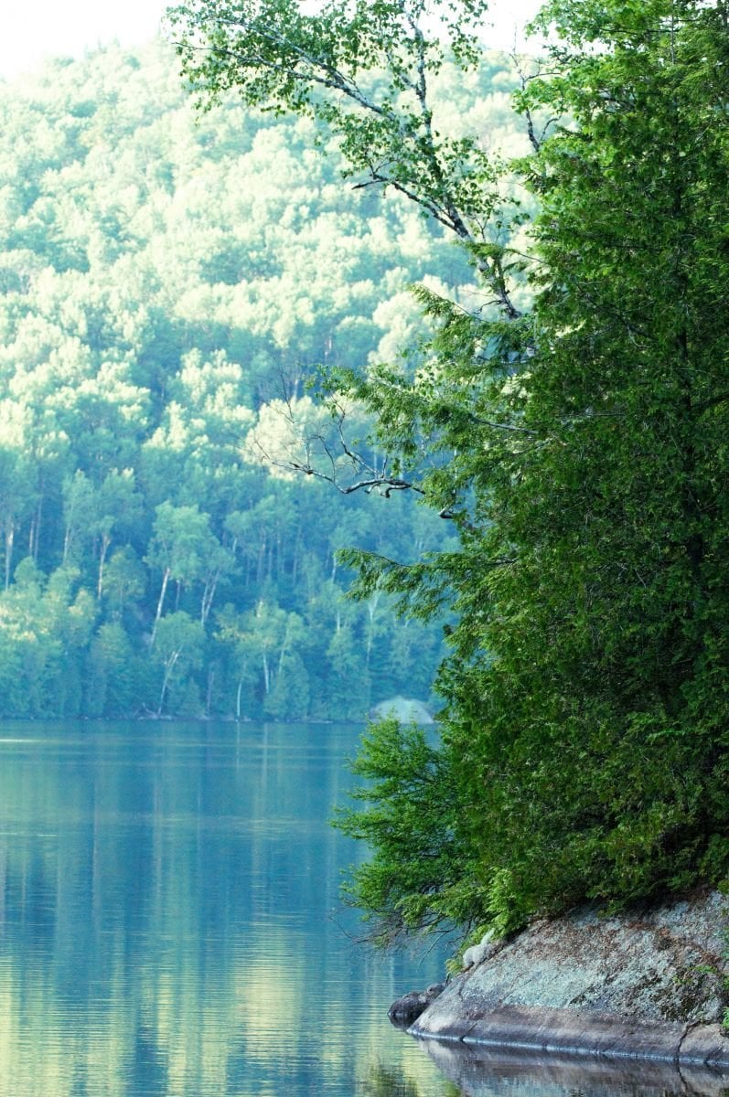 db6d42b0-3d2d-4b6b-bd48-e5136f9501ee