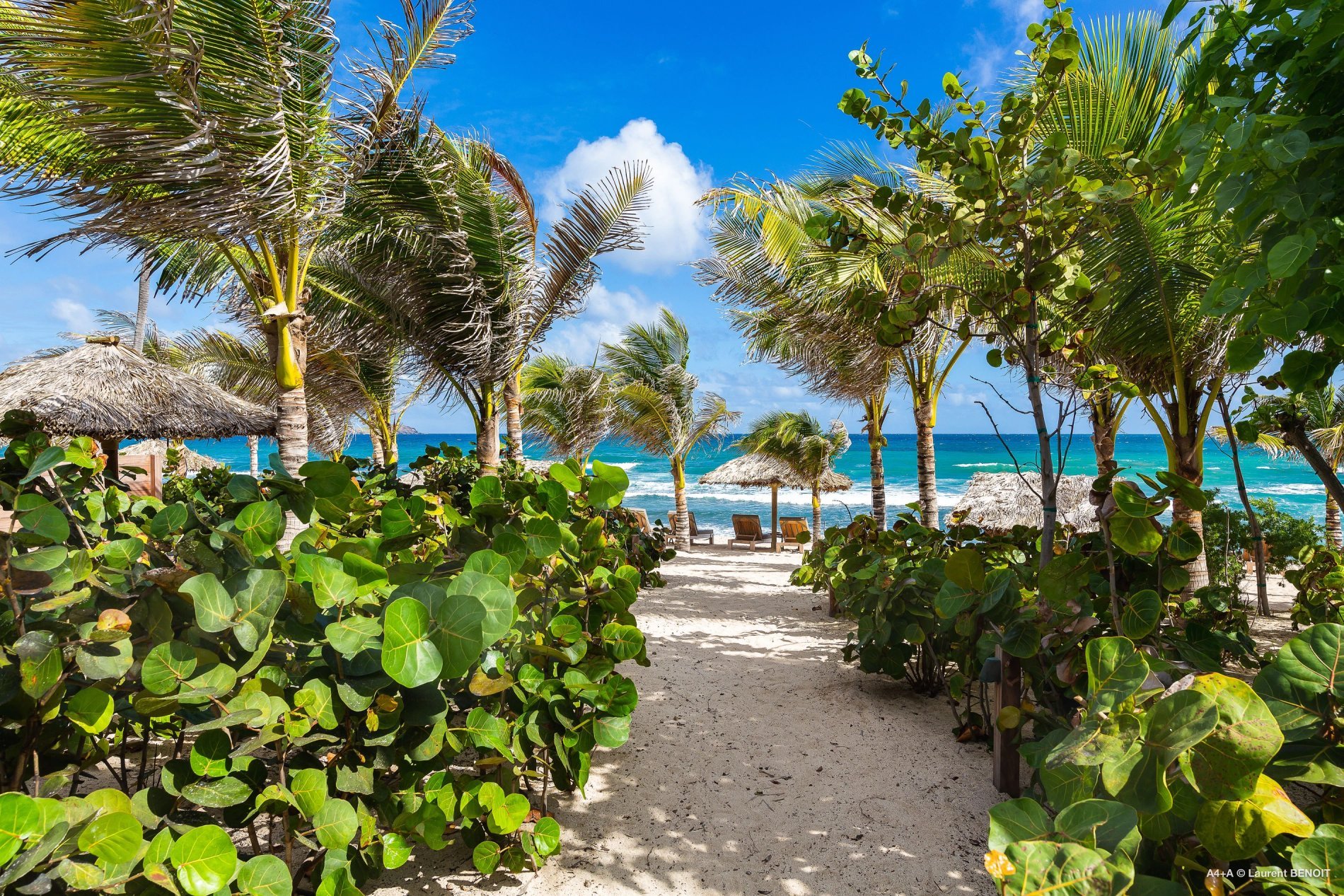 db964b2f-ea8b-4b98-9717-823306061250