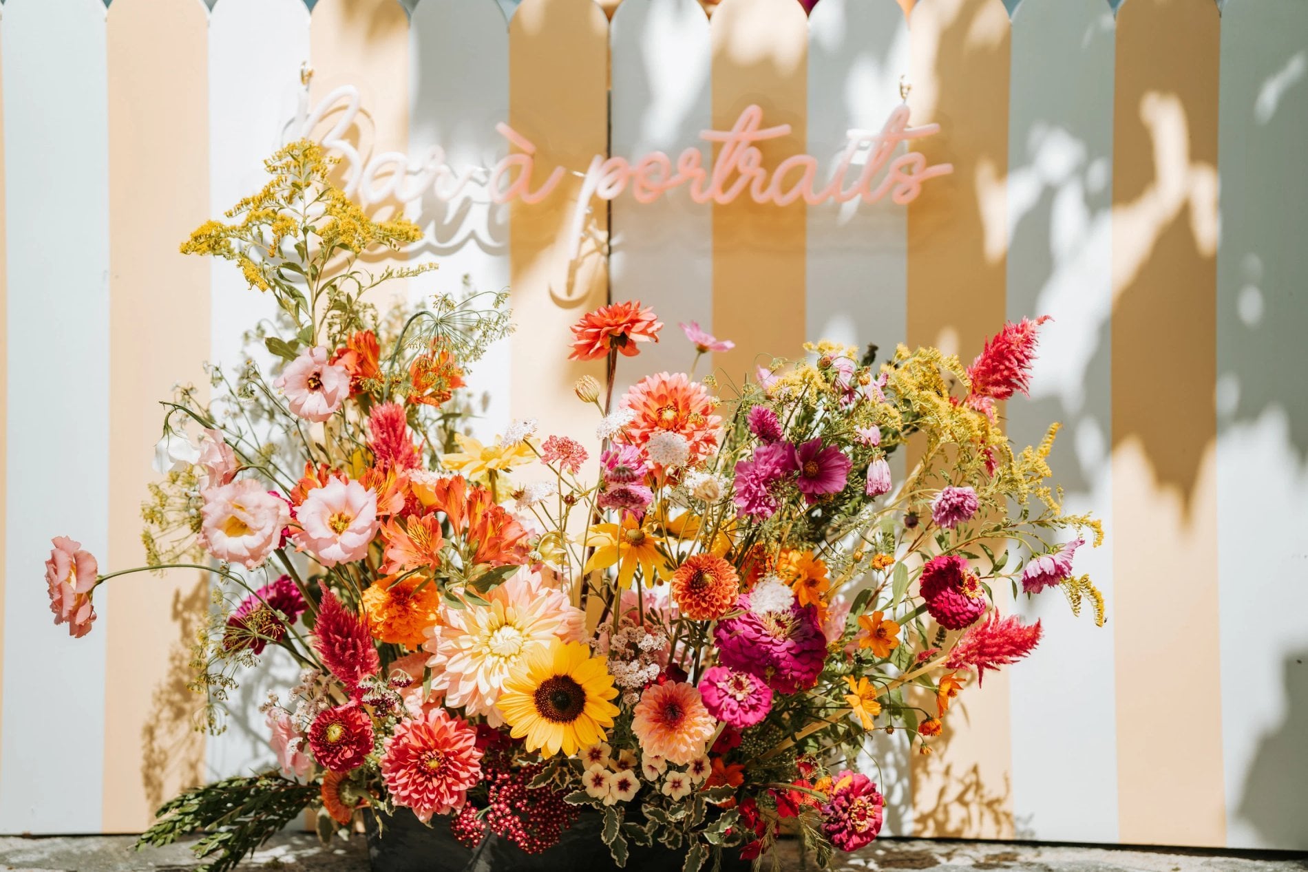 dc375d6b-bb85-42b3-befd-534d19a21561