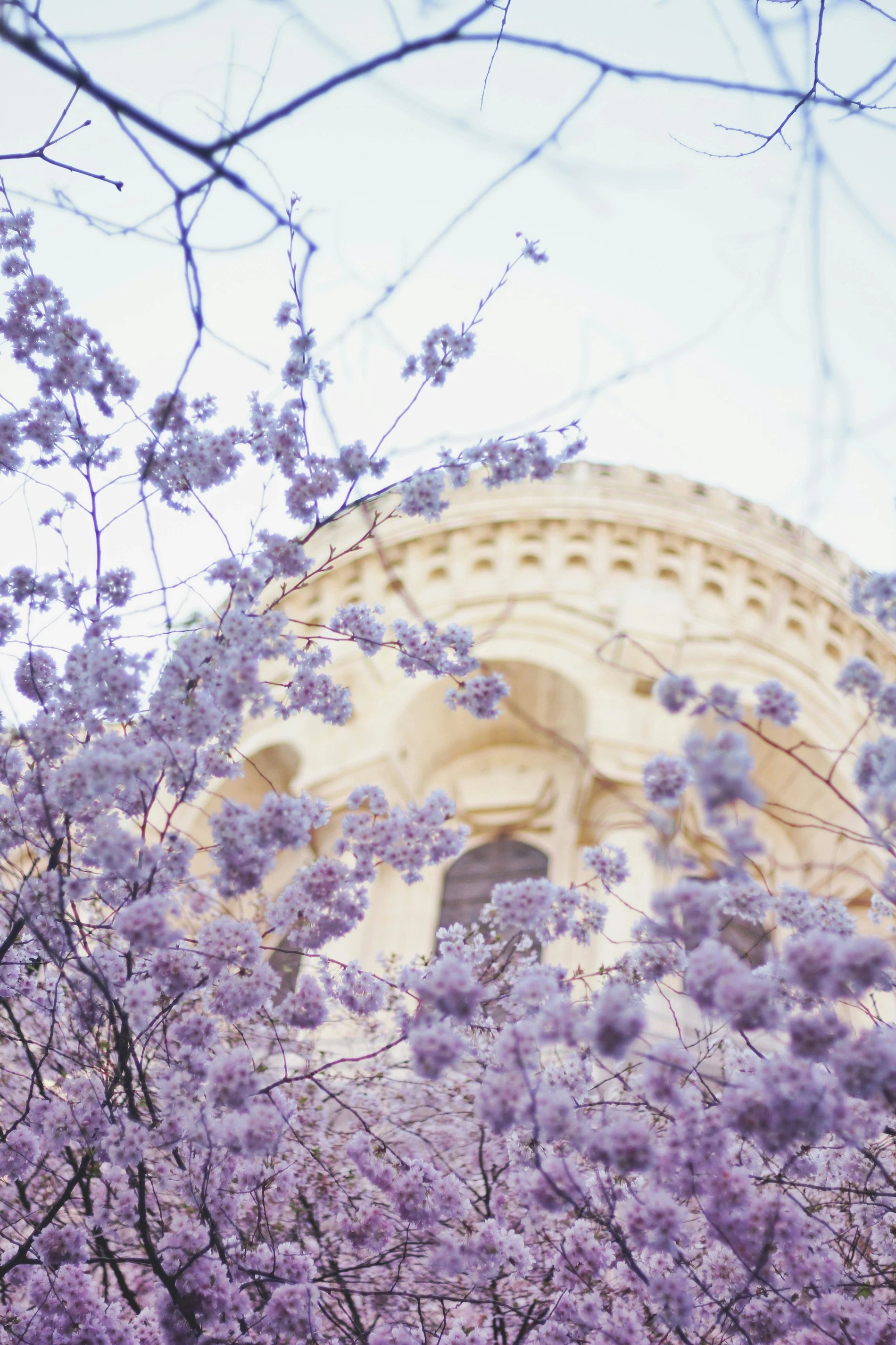 dc661afe-a7ec-4393-8a67-0a060b781633