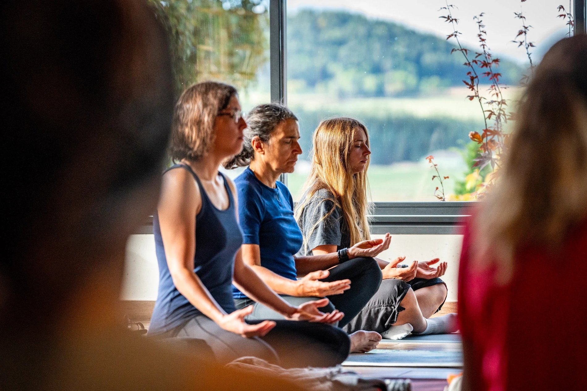 ddcb975e-328e-4900-8ebc-3aace91ad376