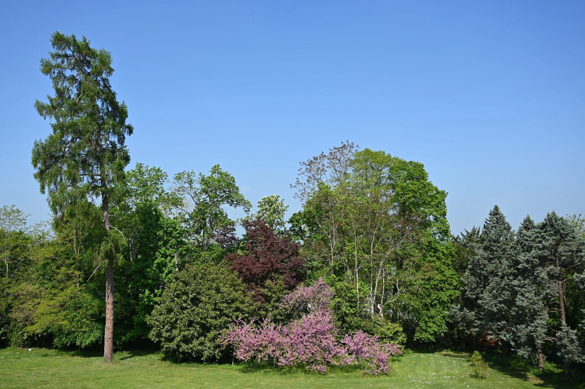 de29c77b-fd99-4968-bf50-74f20977a296