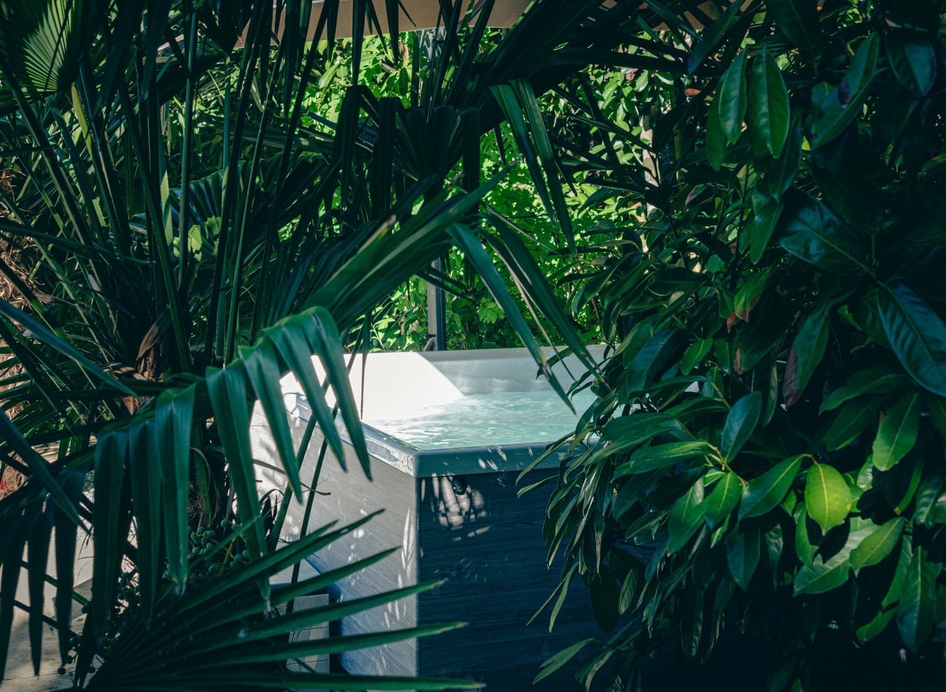 e0a4d4f3-b77c-4c15-8cef-be9ae119be47