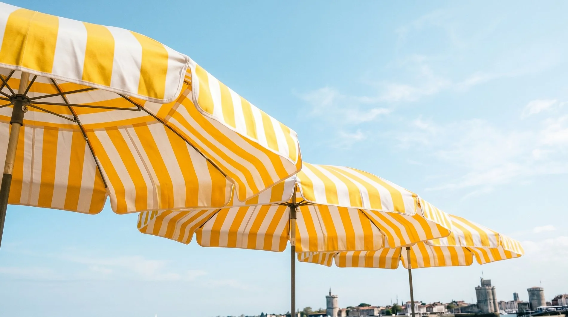 e24ebe3e-6b14-417c-83d1-d1de77ba7343