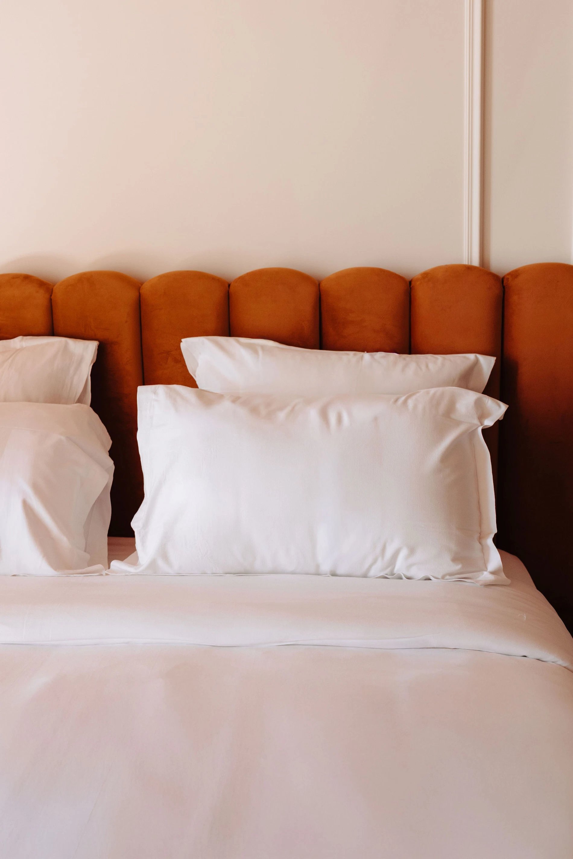 e3076b8c-f02e-4ea7-87fc-453ccddda39d