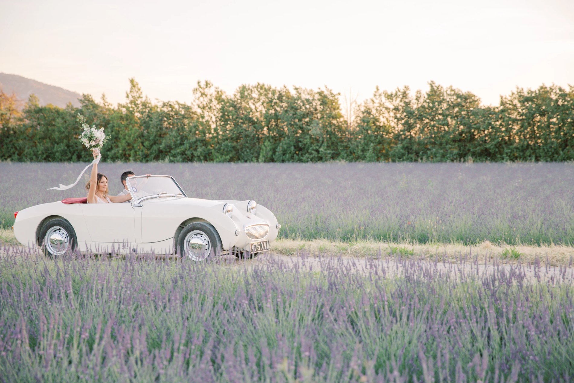 e3ef3b1a-f97d-46d1-b878-ecd12afbf44f