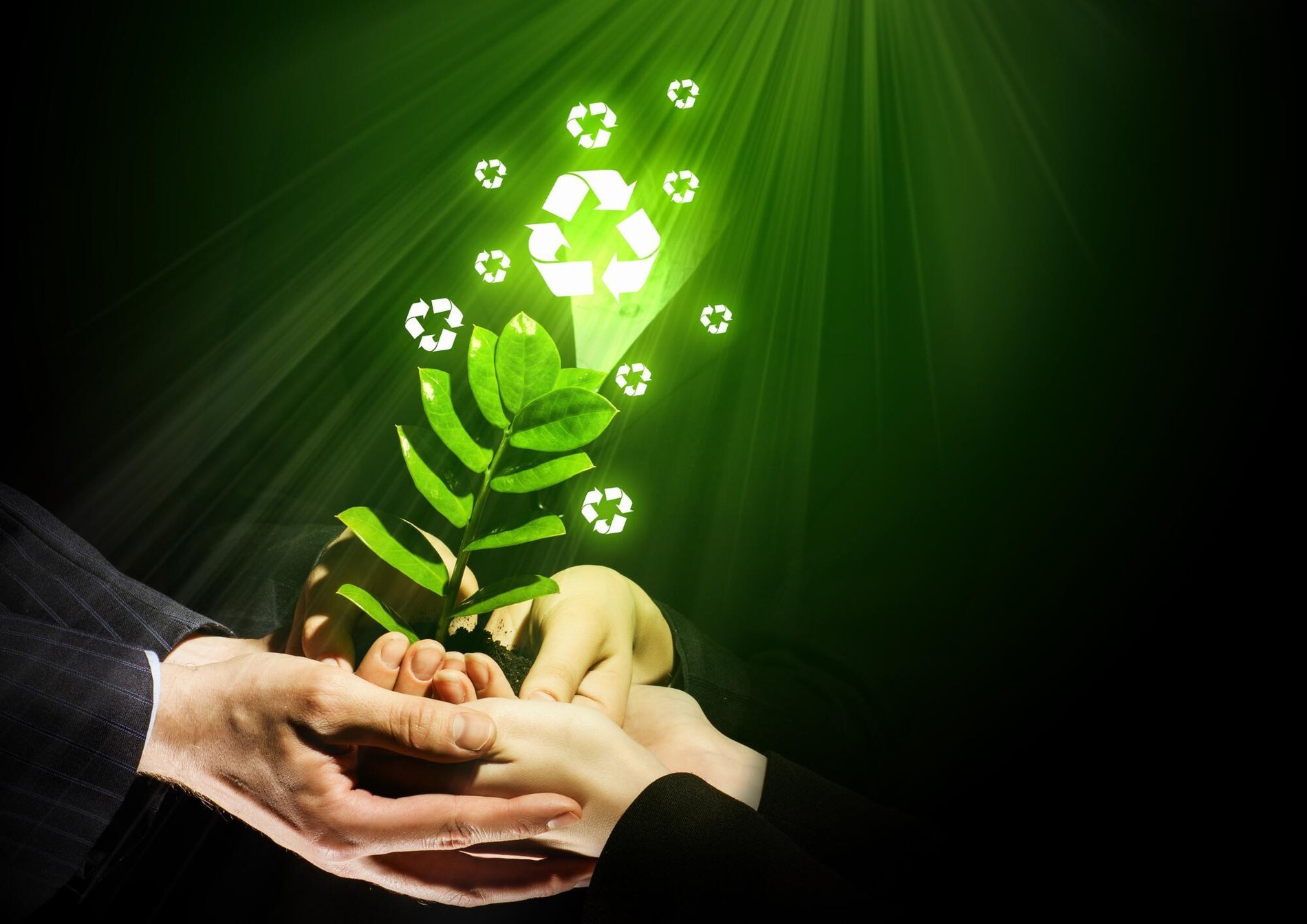 e43e1ee6-abcb-4281-9e52-944ab150f0a4