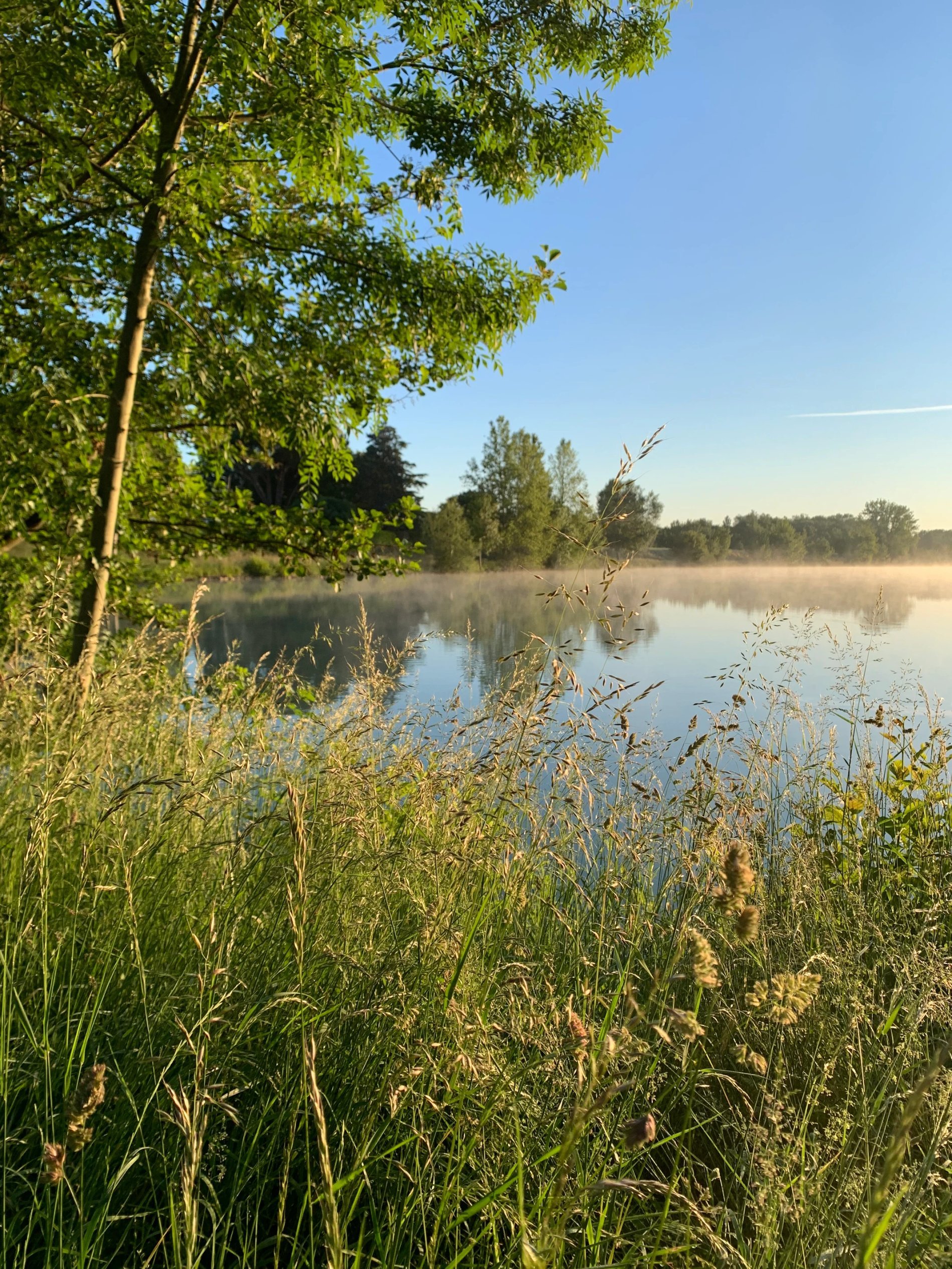 e500362a-0c8c-4927-97c4-8d133b4256c5