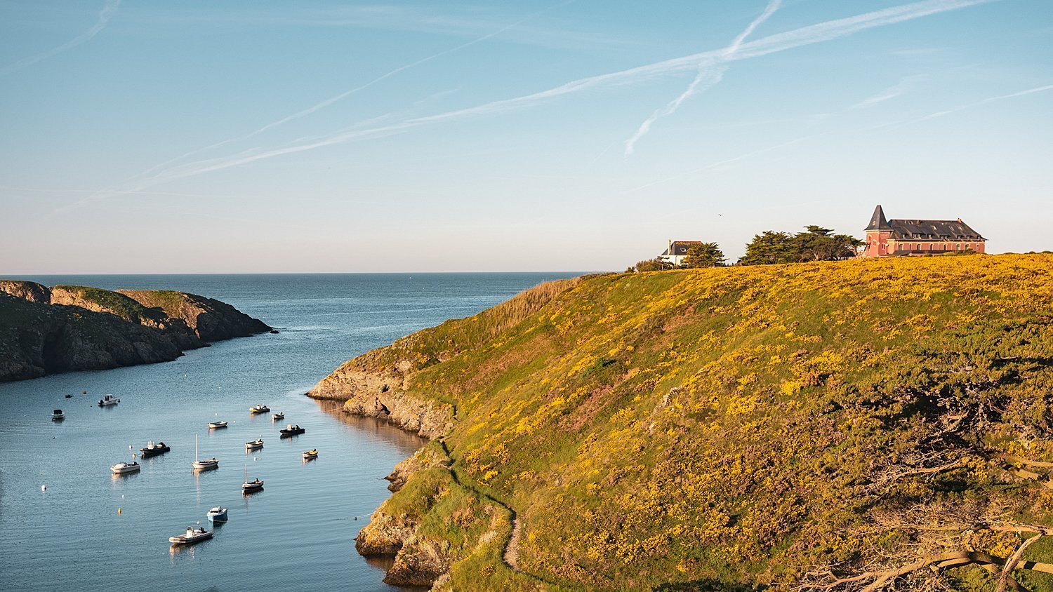 e7900ea0-71f9-47dc-9b85-f659de45e81f