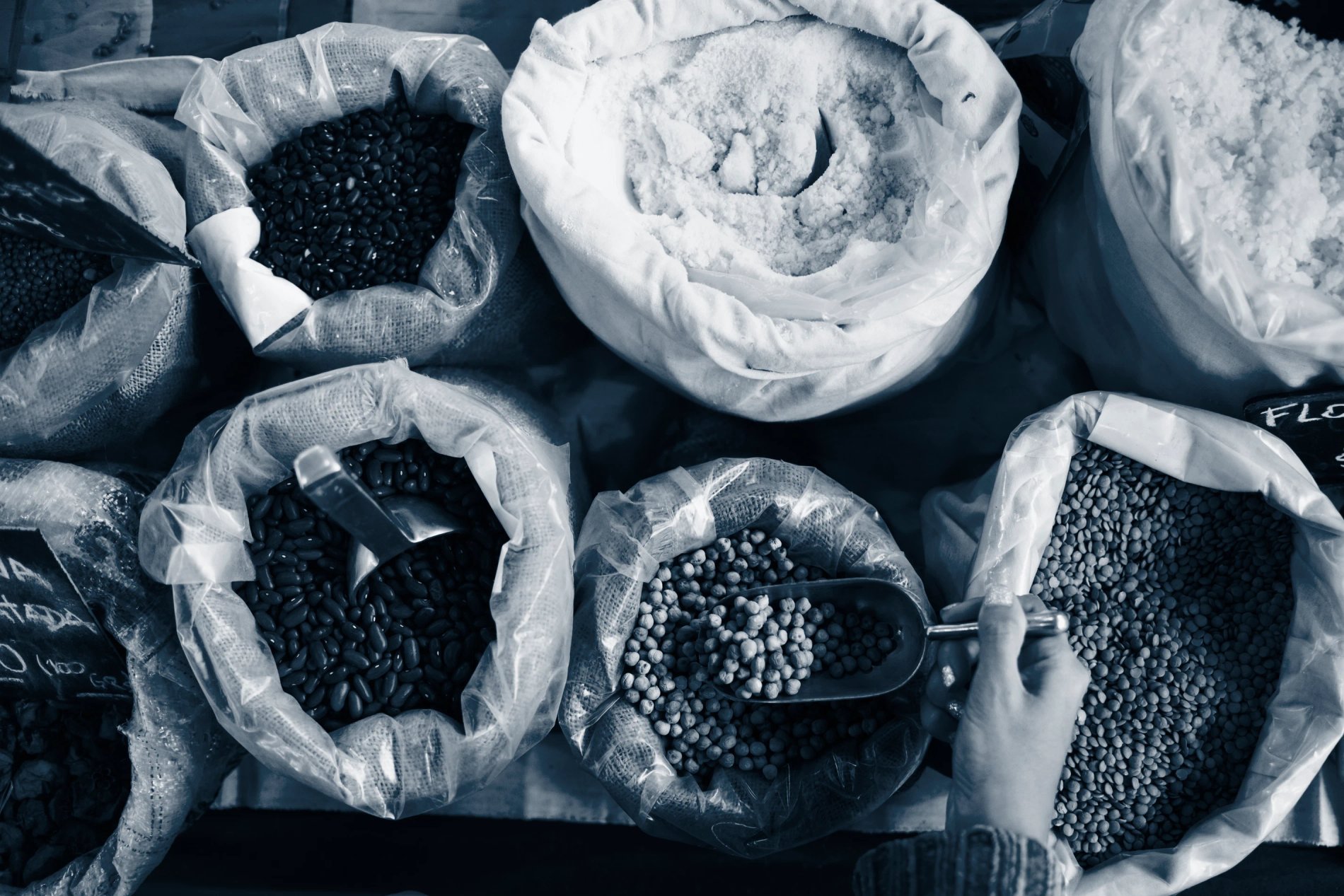 e836eefe-e860-4e32-a1e6-d50220481f2f